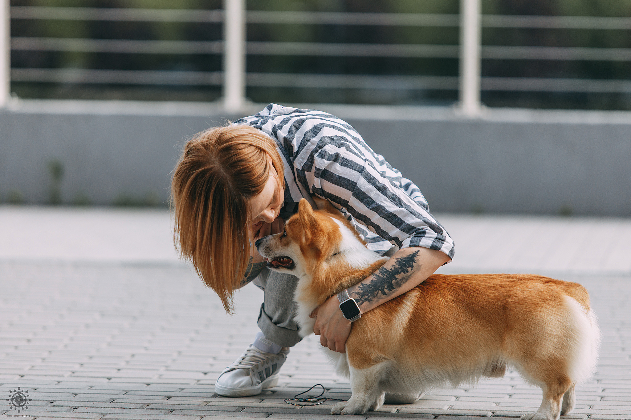 Вінні. Фотограф-анімаліст Київ