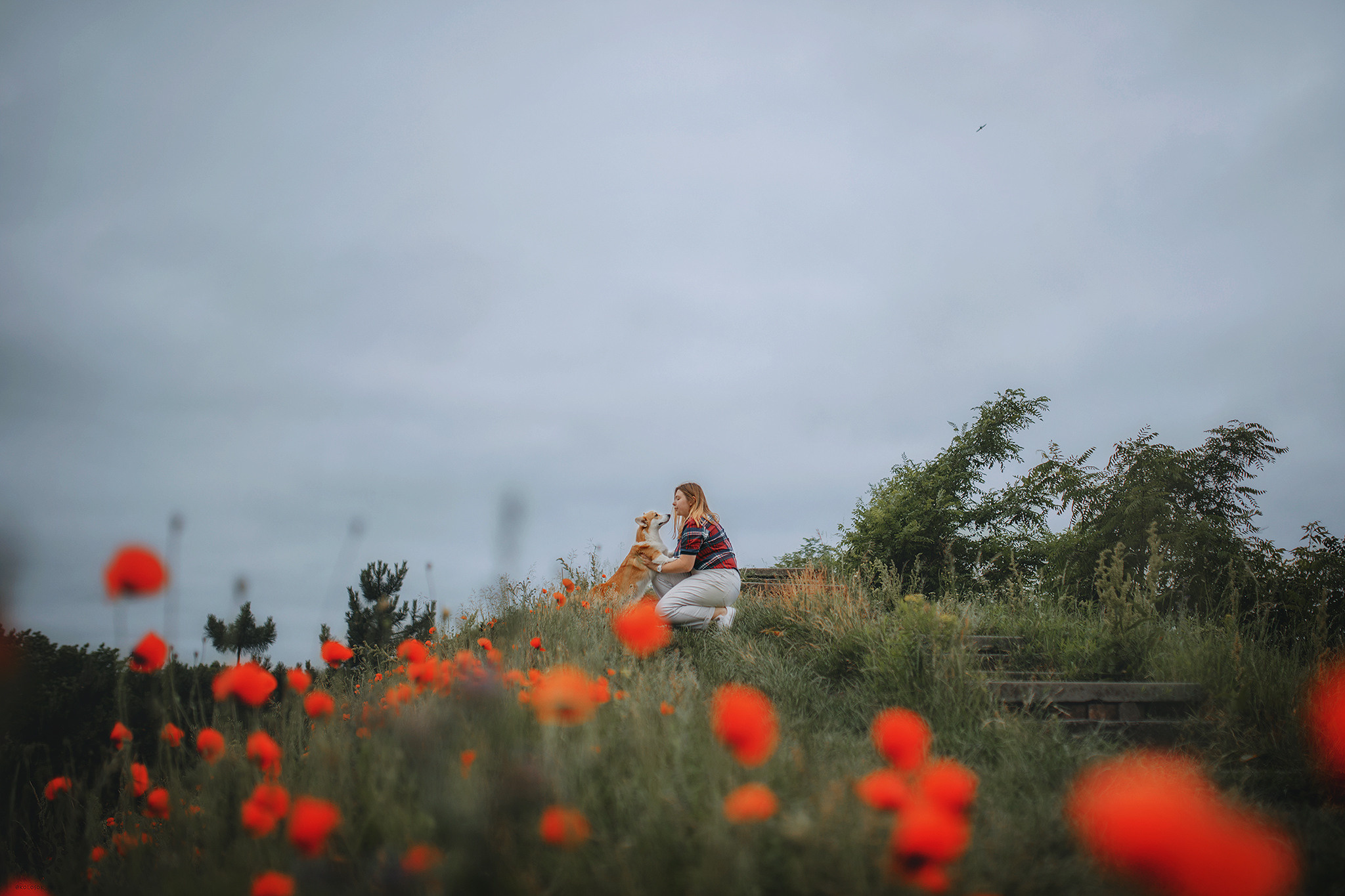Родина Карамель. Фотограф-анімаліст Київ