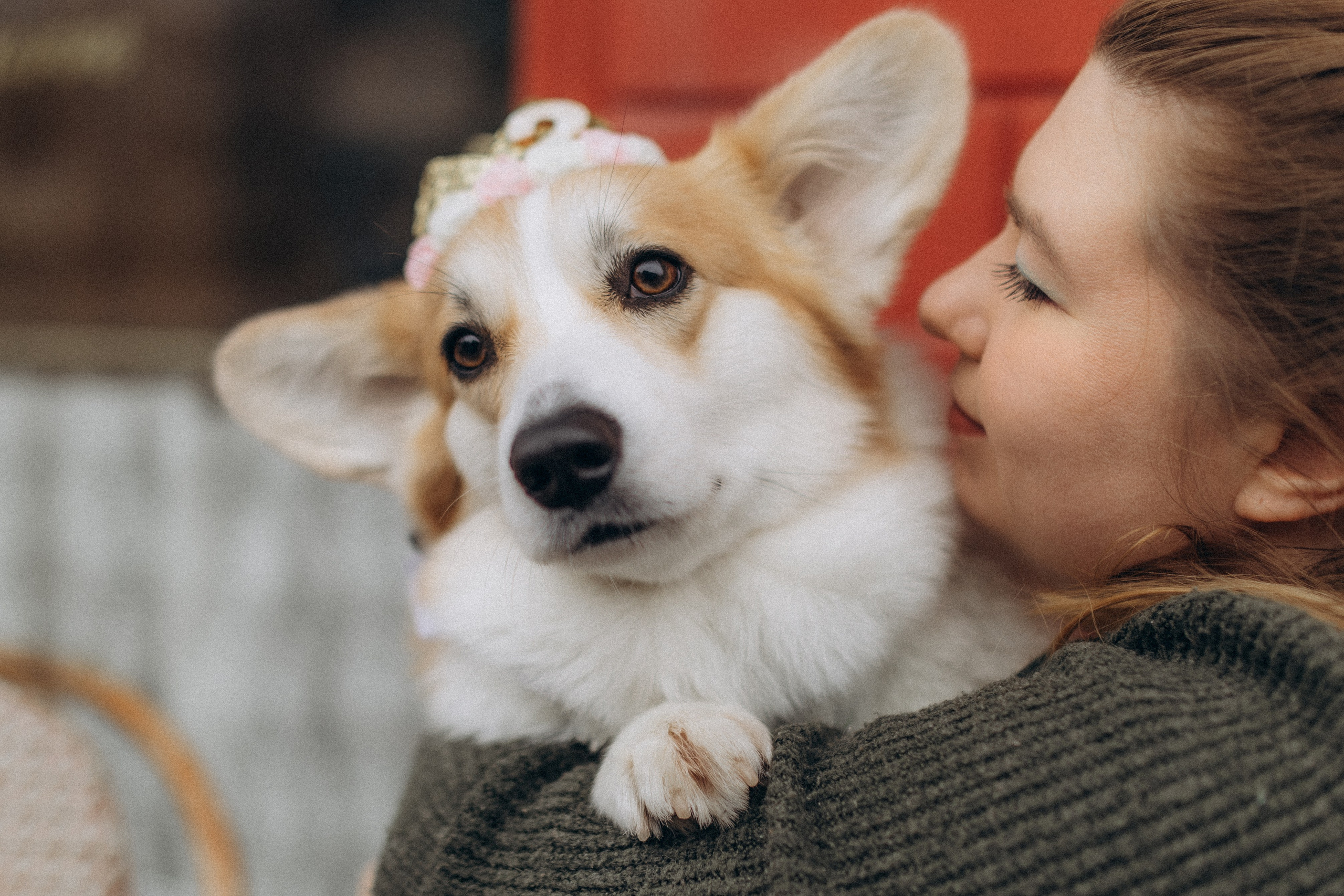 Карамелі 2 роки. Фотограф-анімаліст Київ