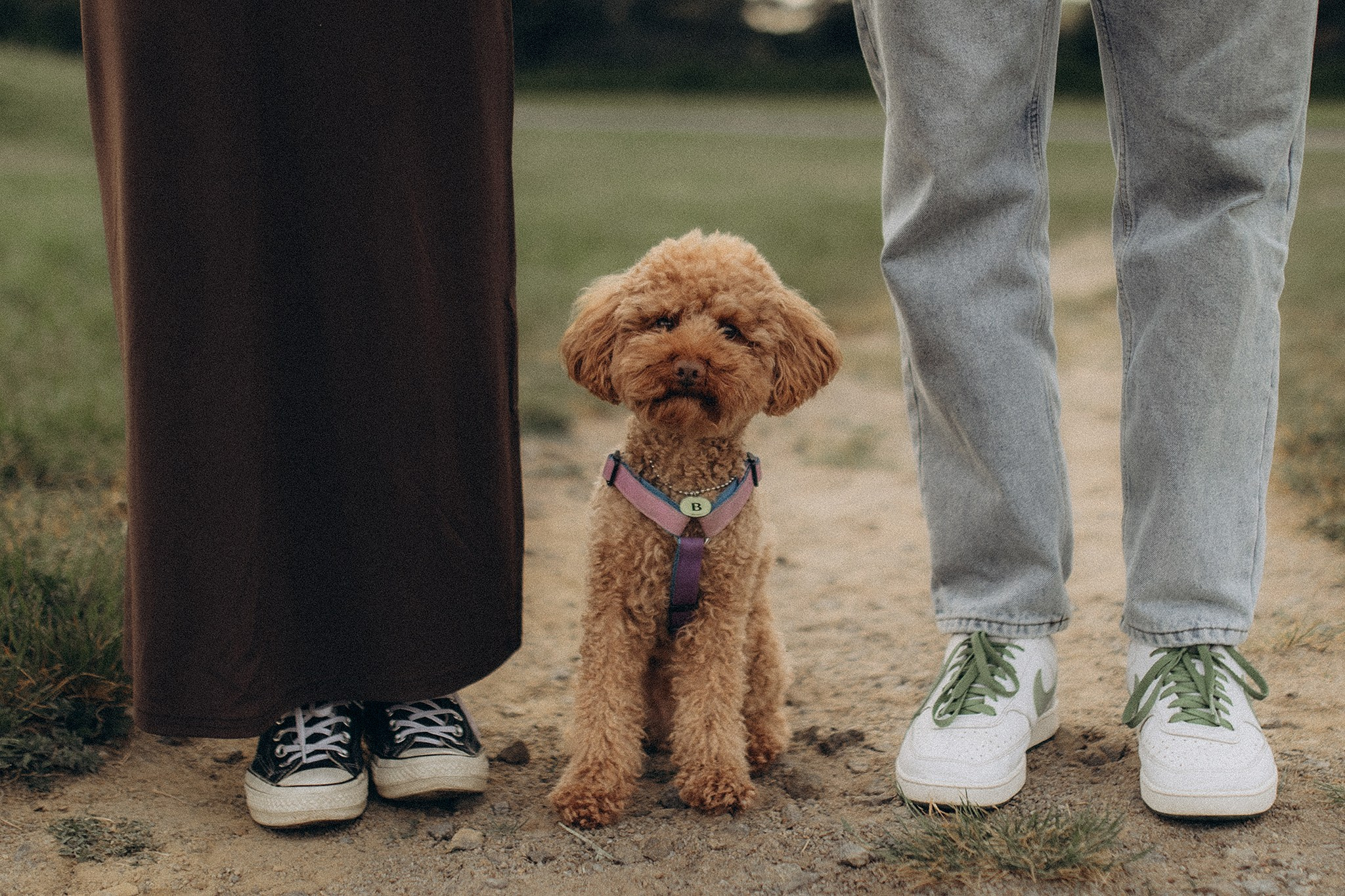 Родина Бруно. Фотограф-анімаліст Київ