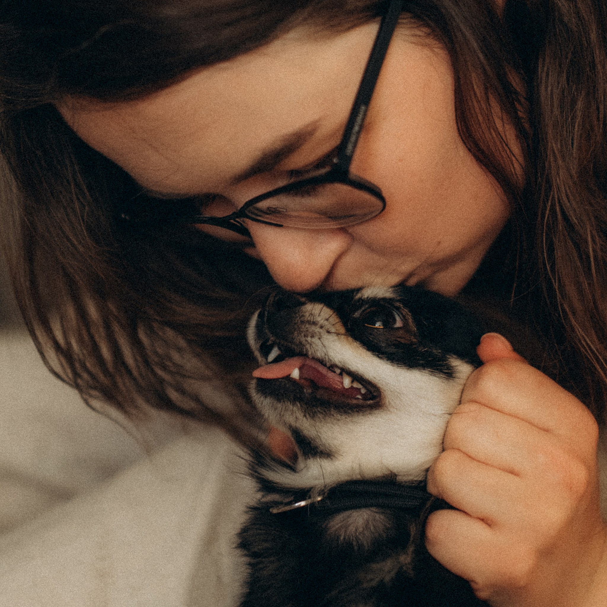 Теса і Кімі з Ма. Фотограф-анімаліст Київ