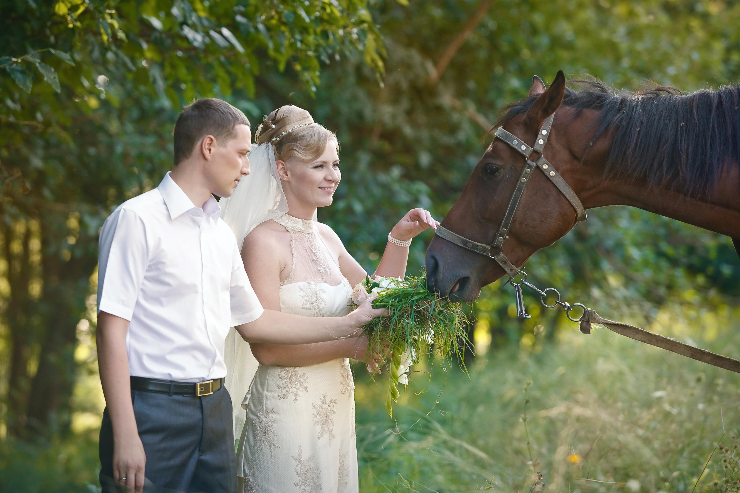 Свадьбы. Ваш фотограф Гусак Артем Київ