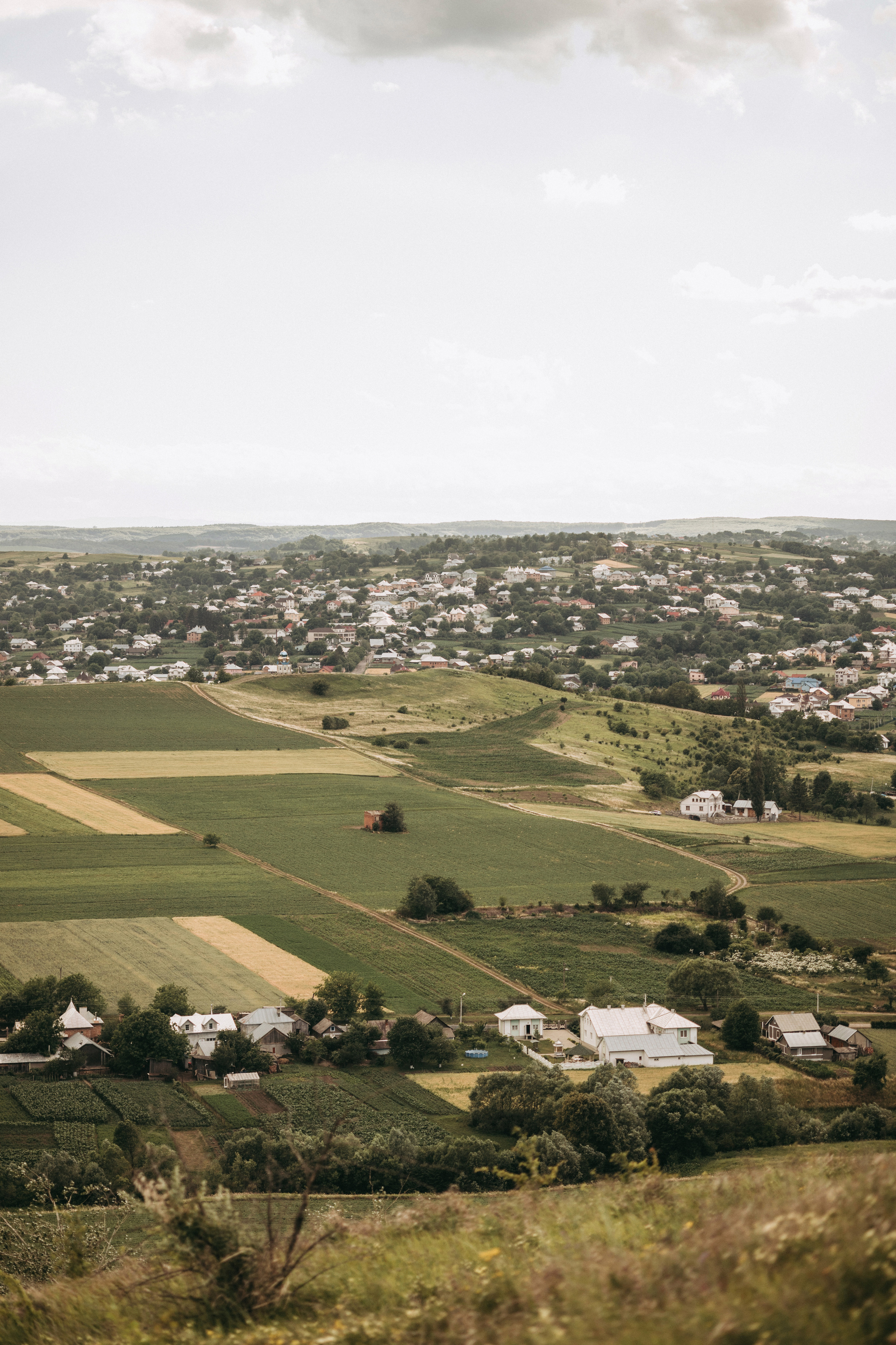 Паша + Катя (2022). Весільний та репортажний фотограф в Чернівцях, Олексій Зацерковний