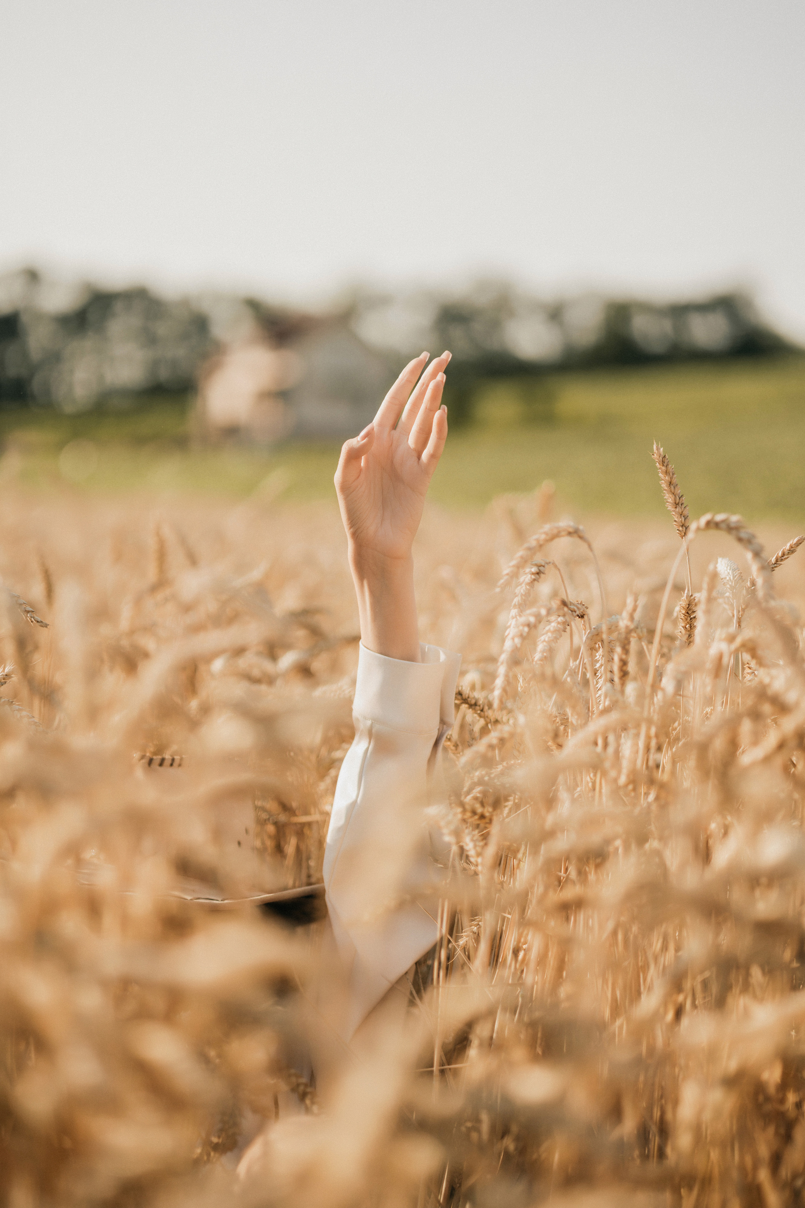 Фотосесія з Вікою. Весільний та репортажний фотограф в Чернівцях, Олексій Зацерковний
