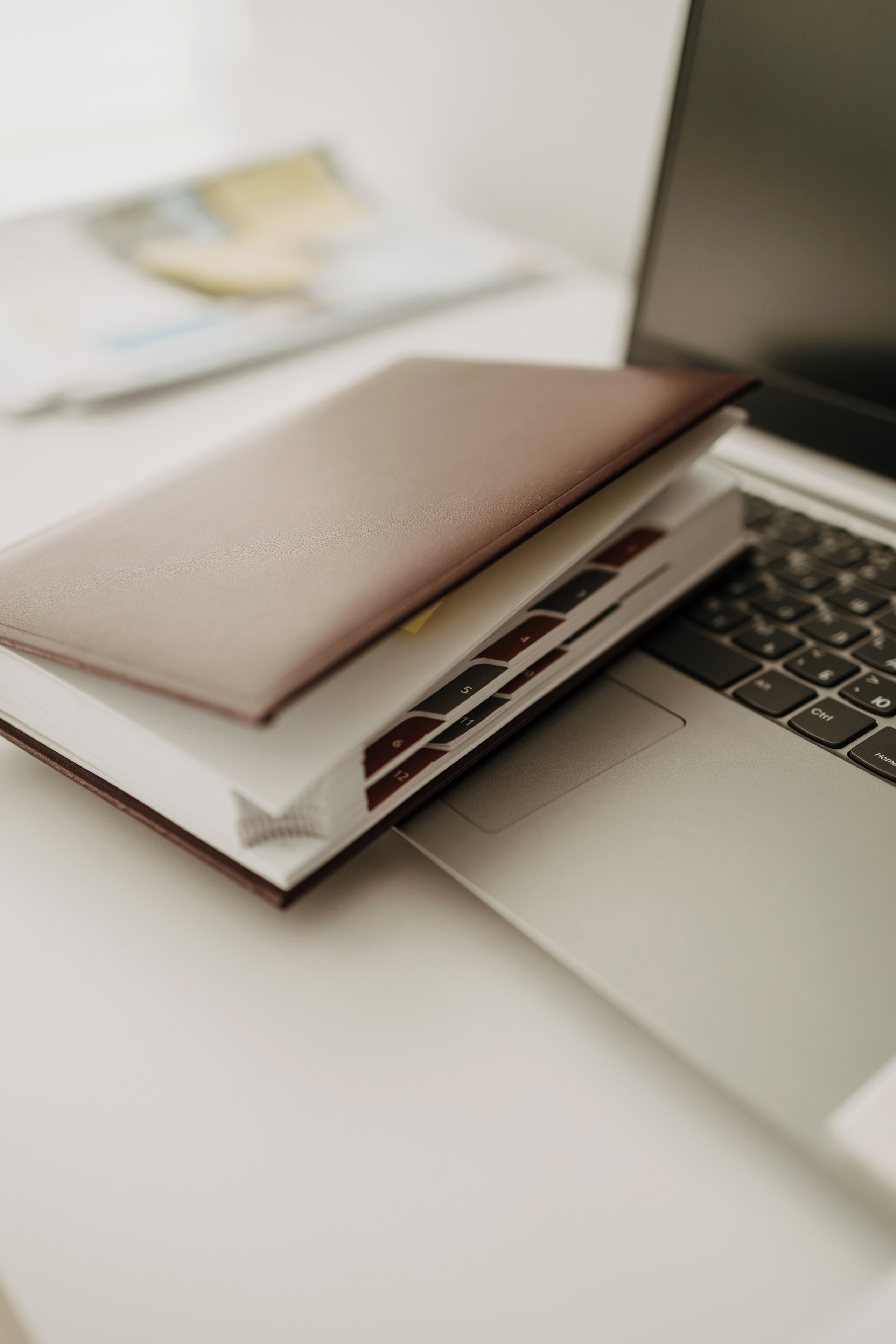 Мовна школа Наталі. Весільний та репортажний фотограф в Чернівцях, Олексій Зацерковний