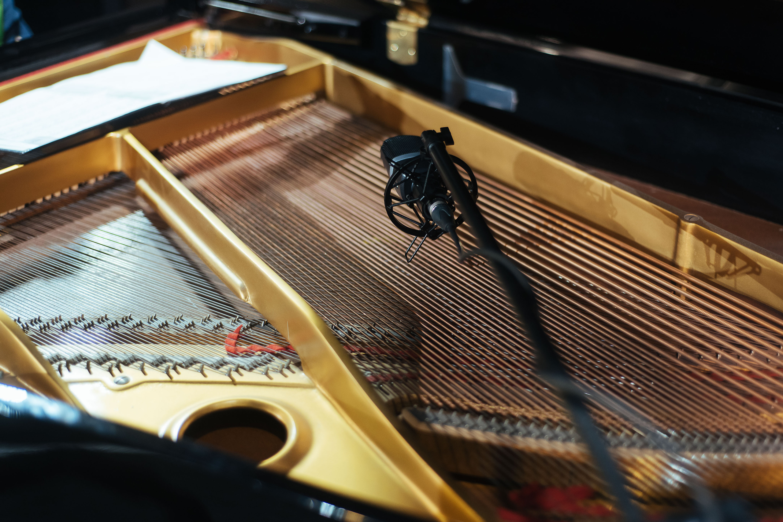 Новорічний концерт. Весільний та сімейний фотограф в Києві