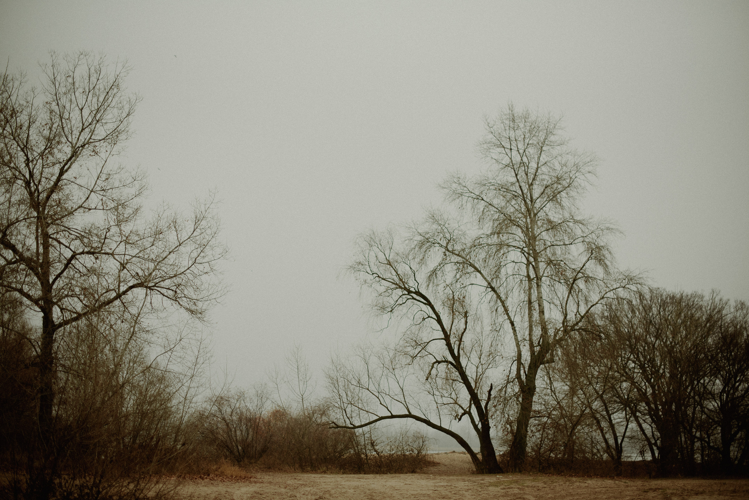 Діана. Весільний та сімейний фотограф в Києві