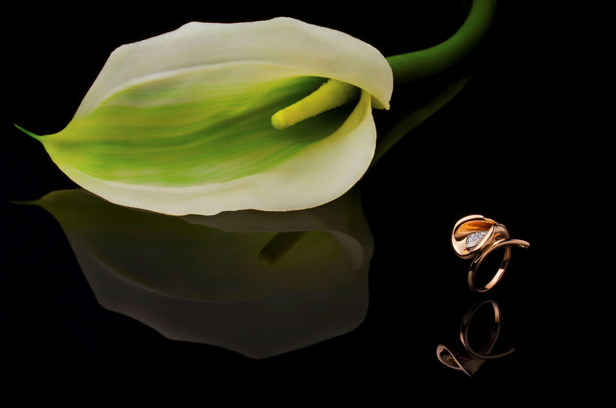 Ювелірні вироби. Весільний та сімейний фотограф в Києві