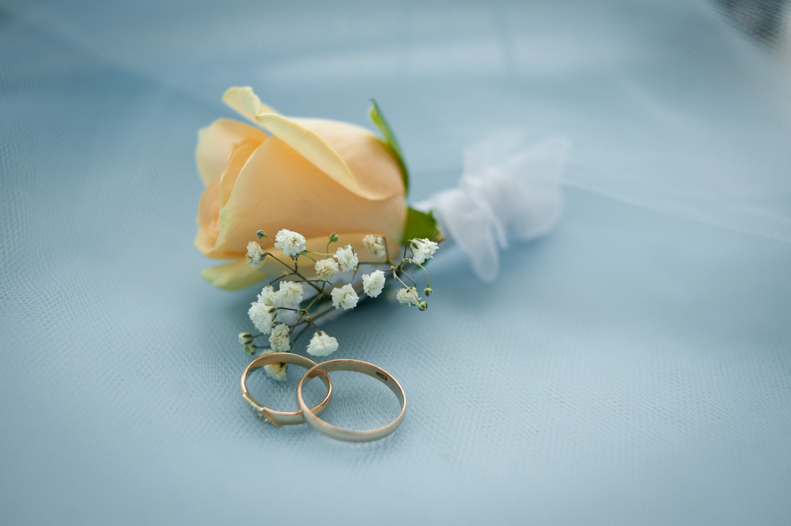 Нажі та Тетяна. Весільний та сімейний фотограф в Києві