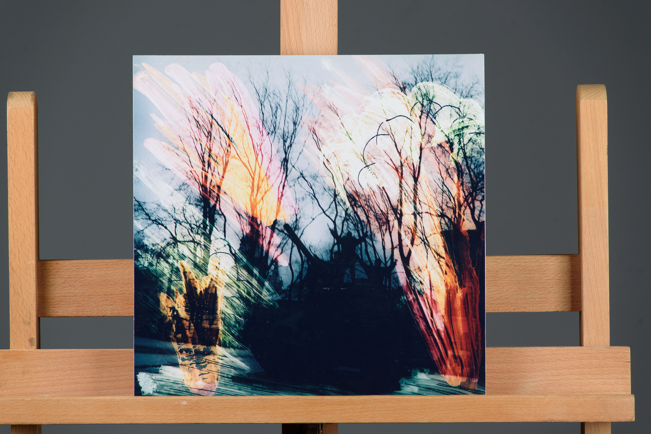 Картини сучасних художників. Весільний та сімейний фотограф в Києві