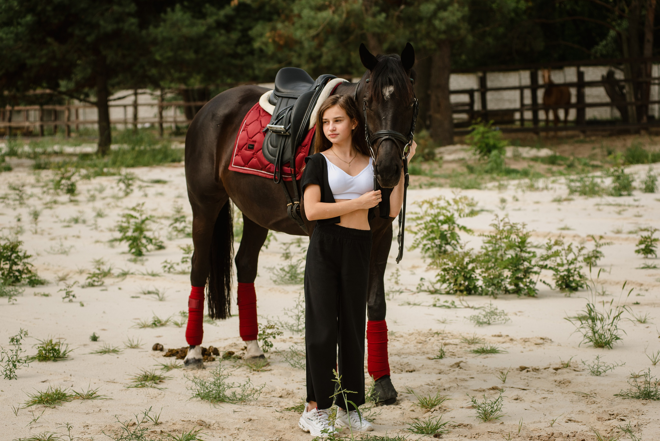 Коні, друзі і веселий настрій. Весільний та сімейний фотограф в Києві