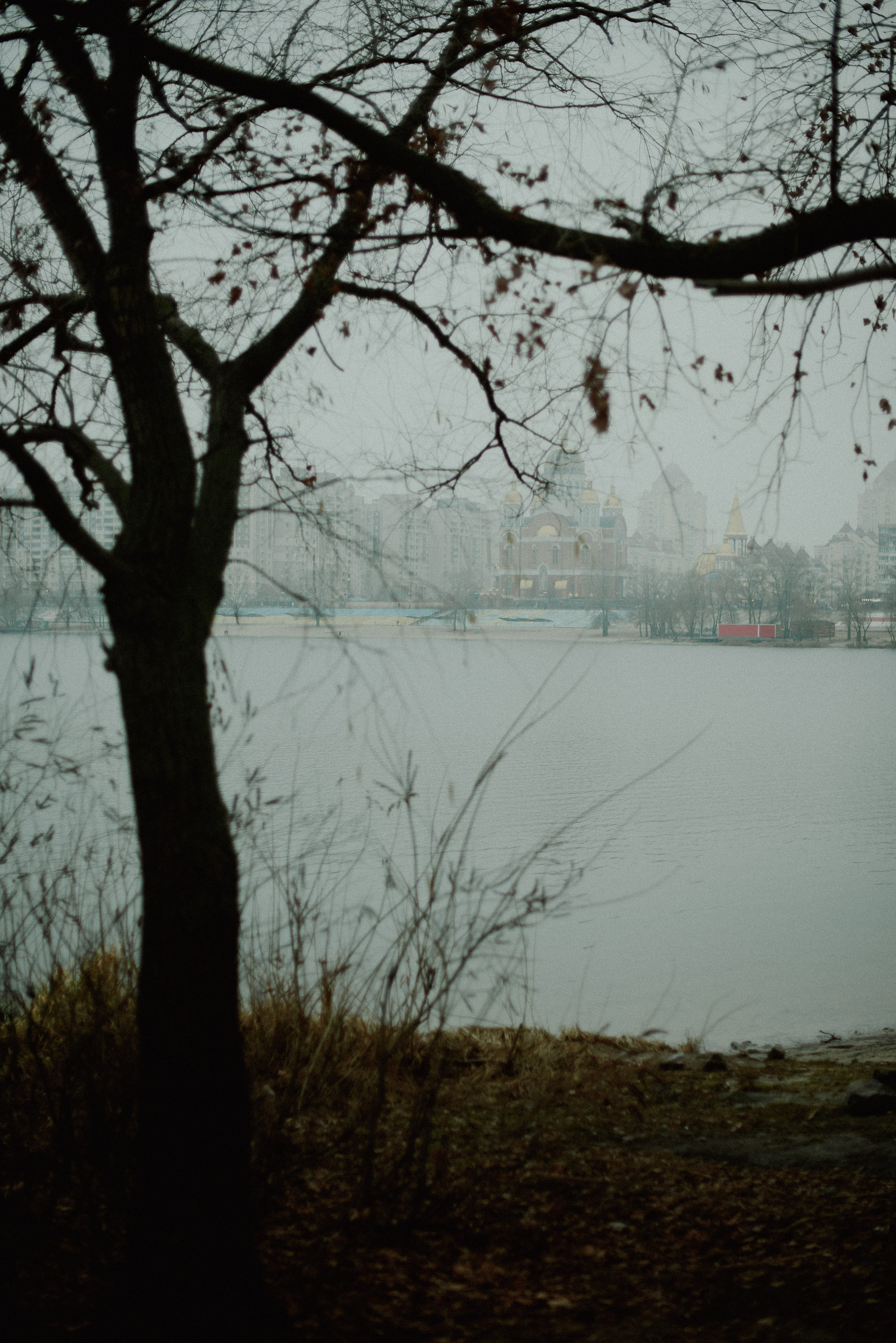 Діана. Весільний та сімейний фотограф в Києві