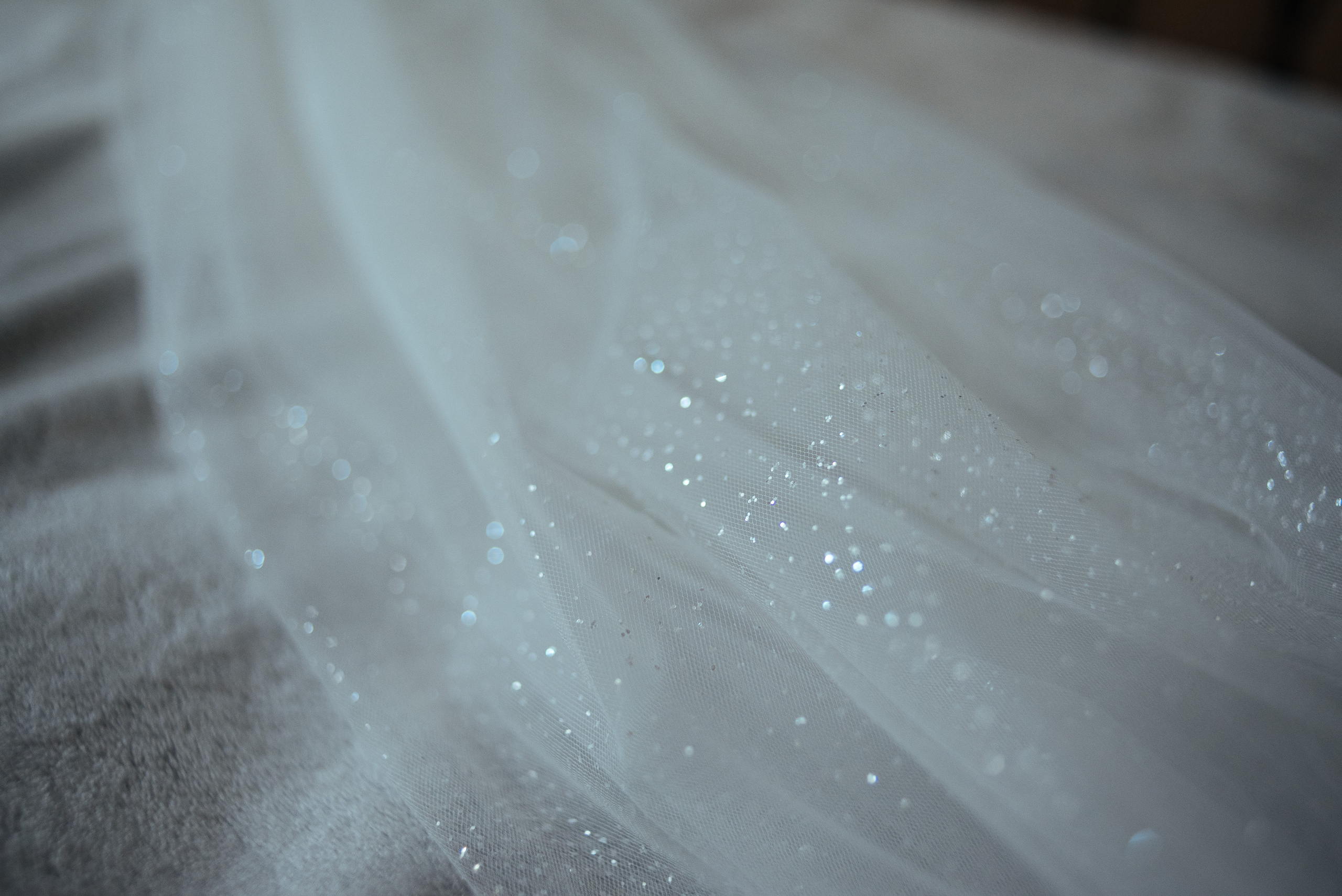 Ігор та Олена. Весільний та сімейний фотограф в Києві