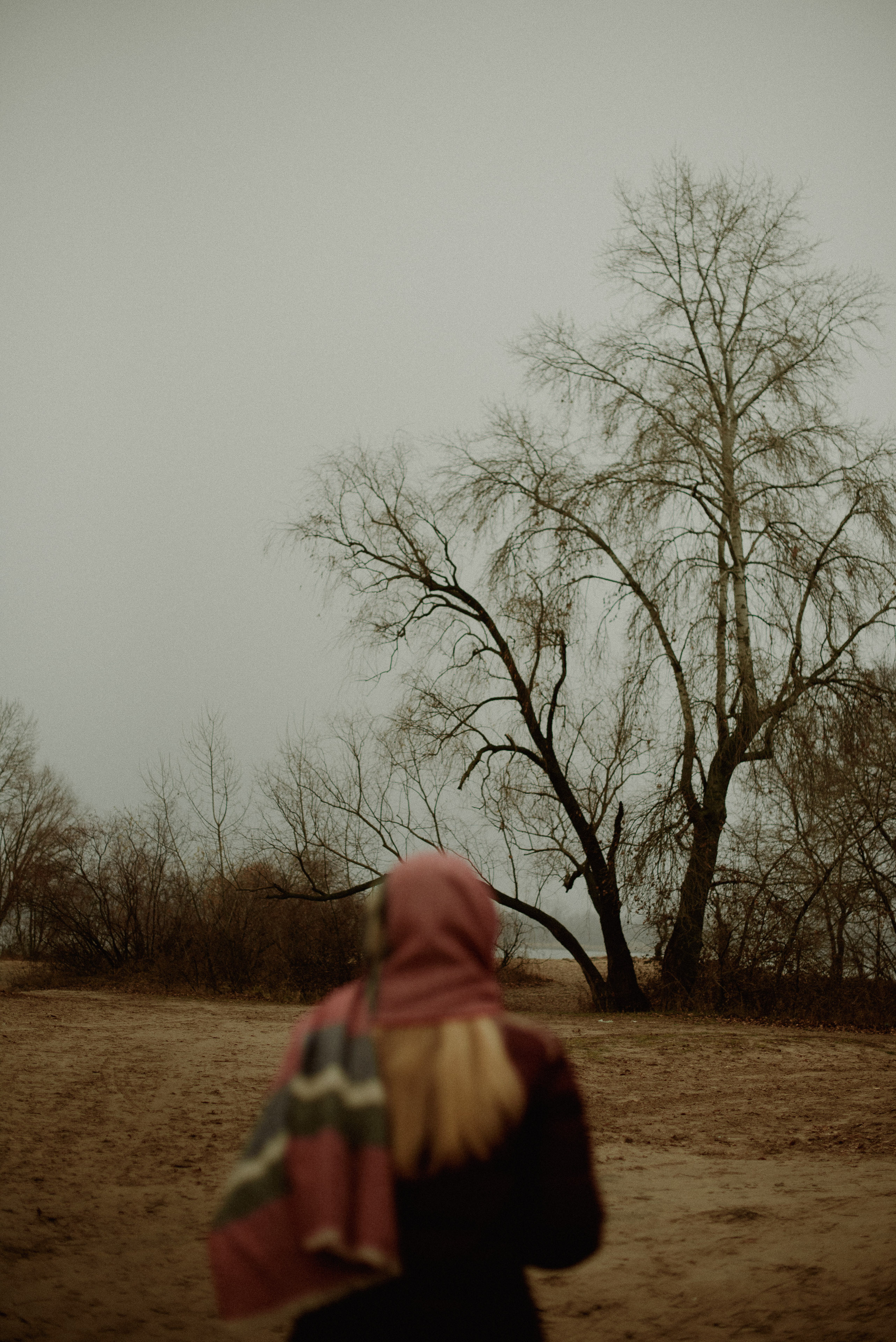 Діана. Весільний та сімейний фотограф в Києві