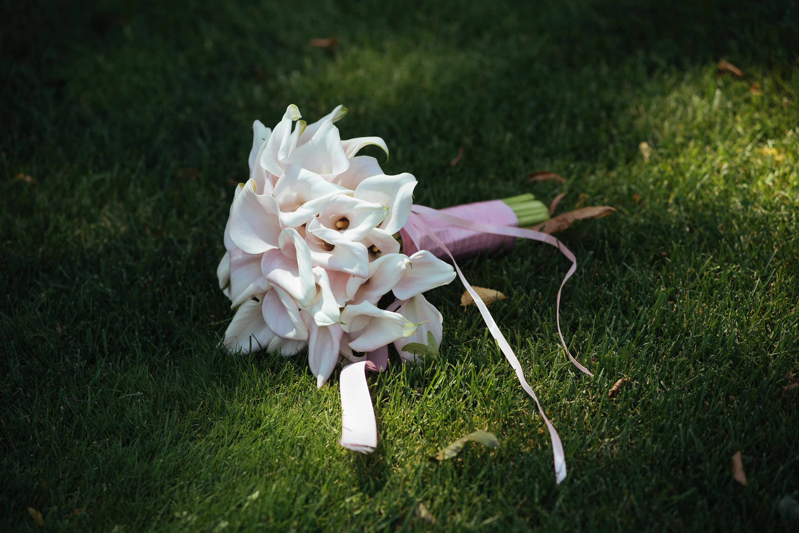 Ігор та Олена. Весільний та сімейний фотограф в Києві