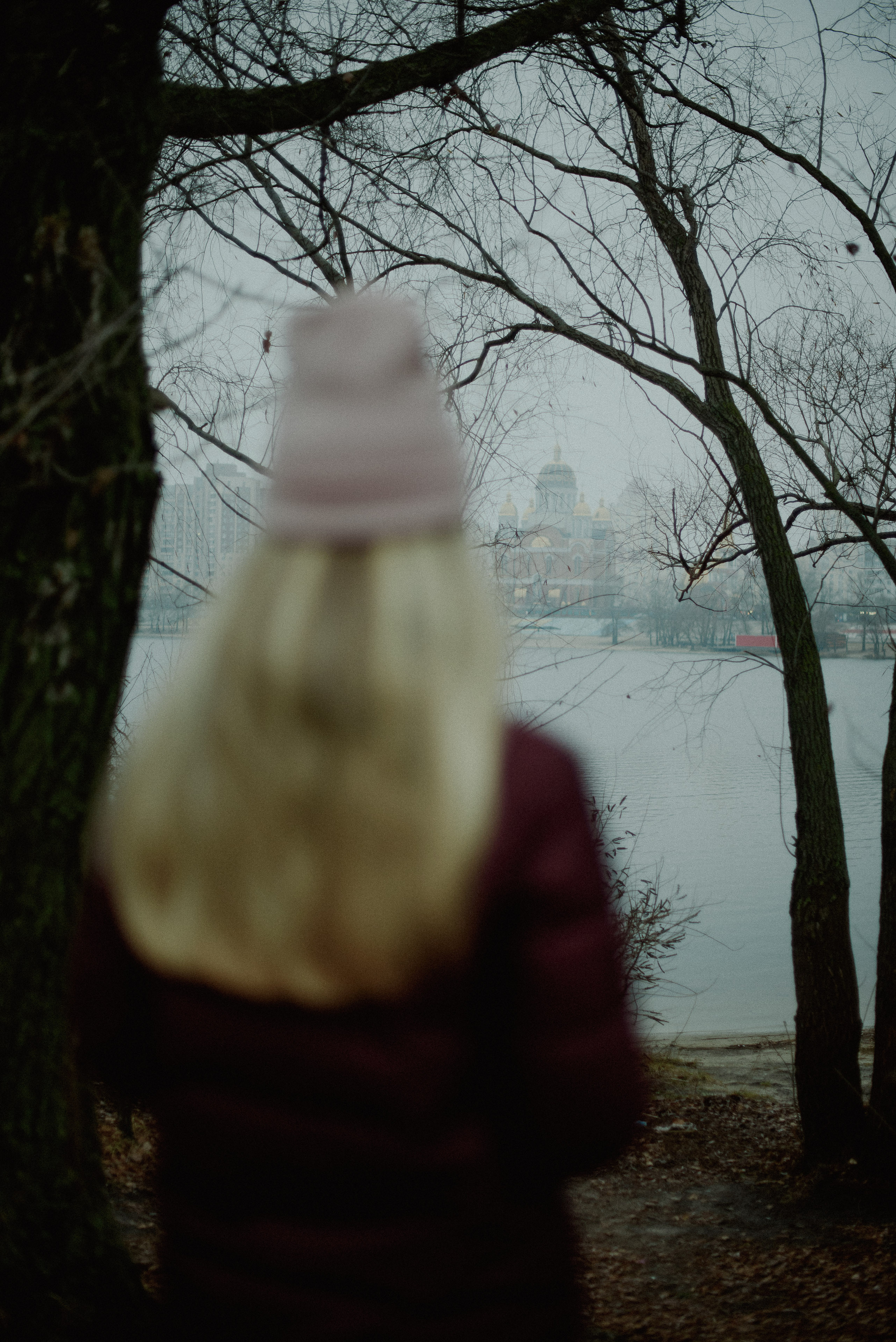 Діана. Весільний та сімейний фотограф в Києві