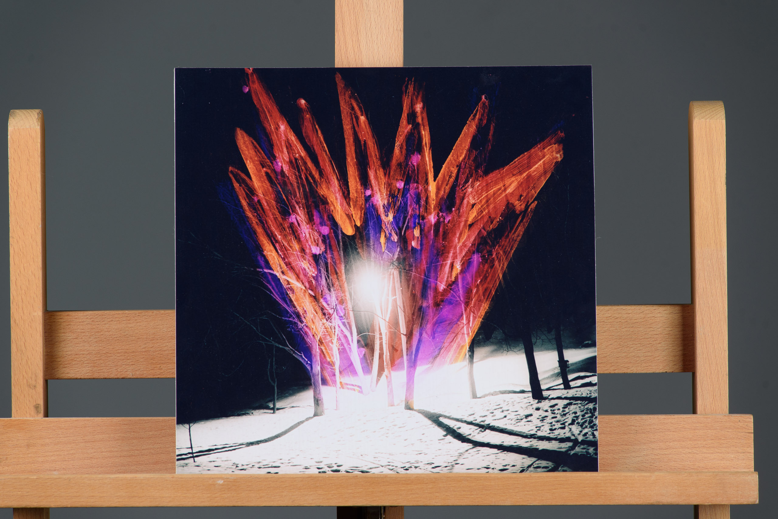 Картини сучасних художників. Весільний та сімейний фотограф в Києві