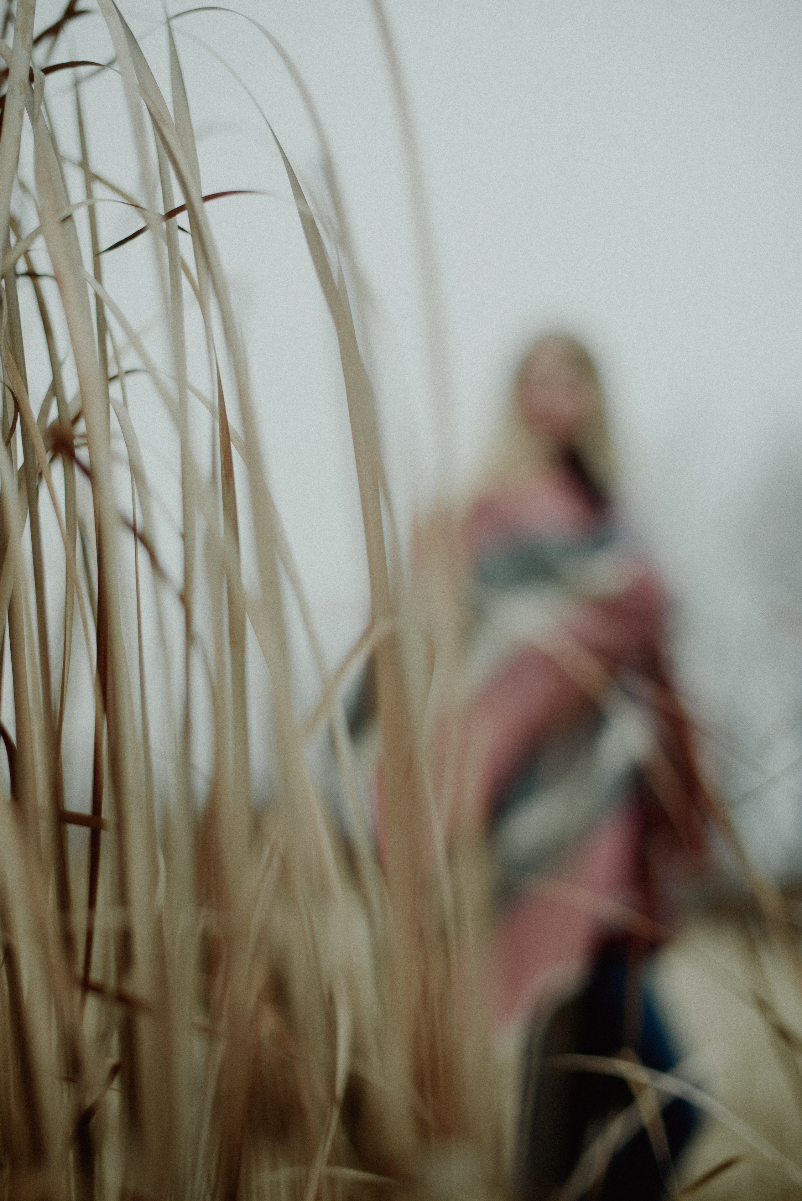 Діана. Весільний та сімейний фотограф в Києві