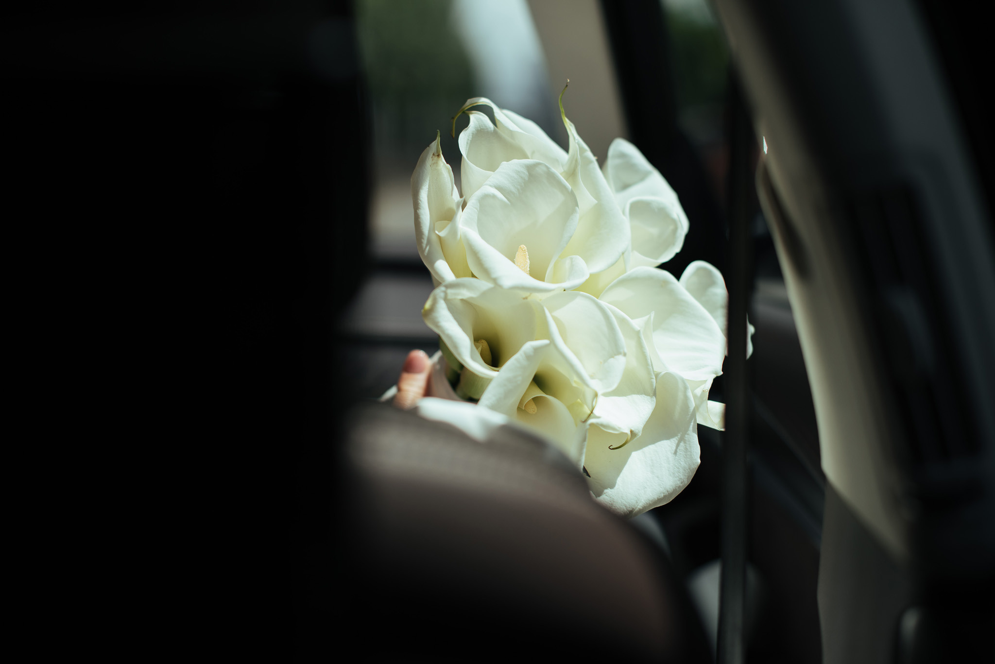 Валентин та Оксана. Весільний та сімейний фотограф в Києві