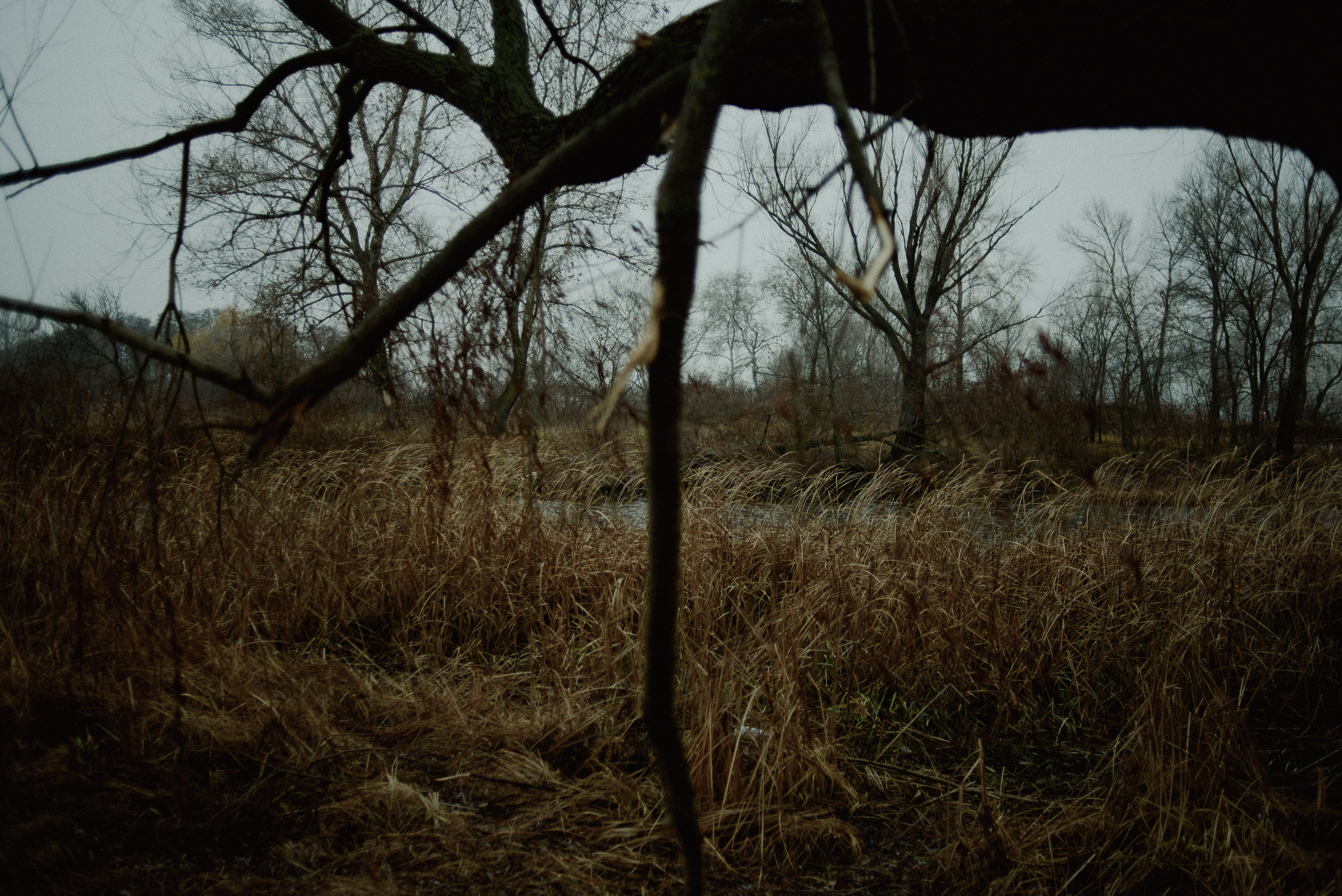 Діана. Весільний та сімейний фотограф в Києві