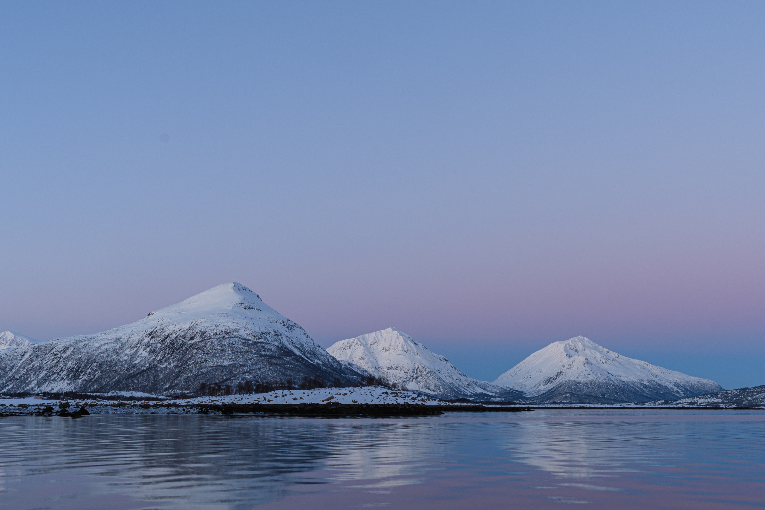 Natural Colour Prints