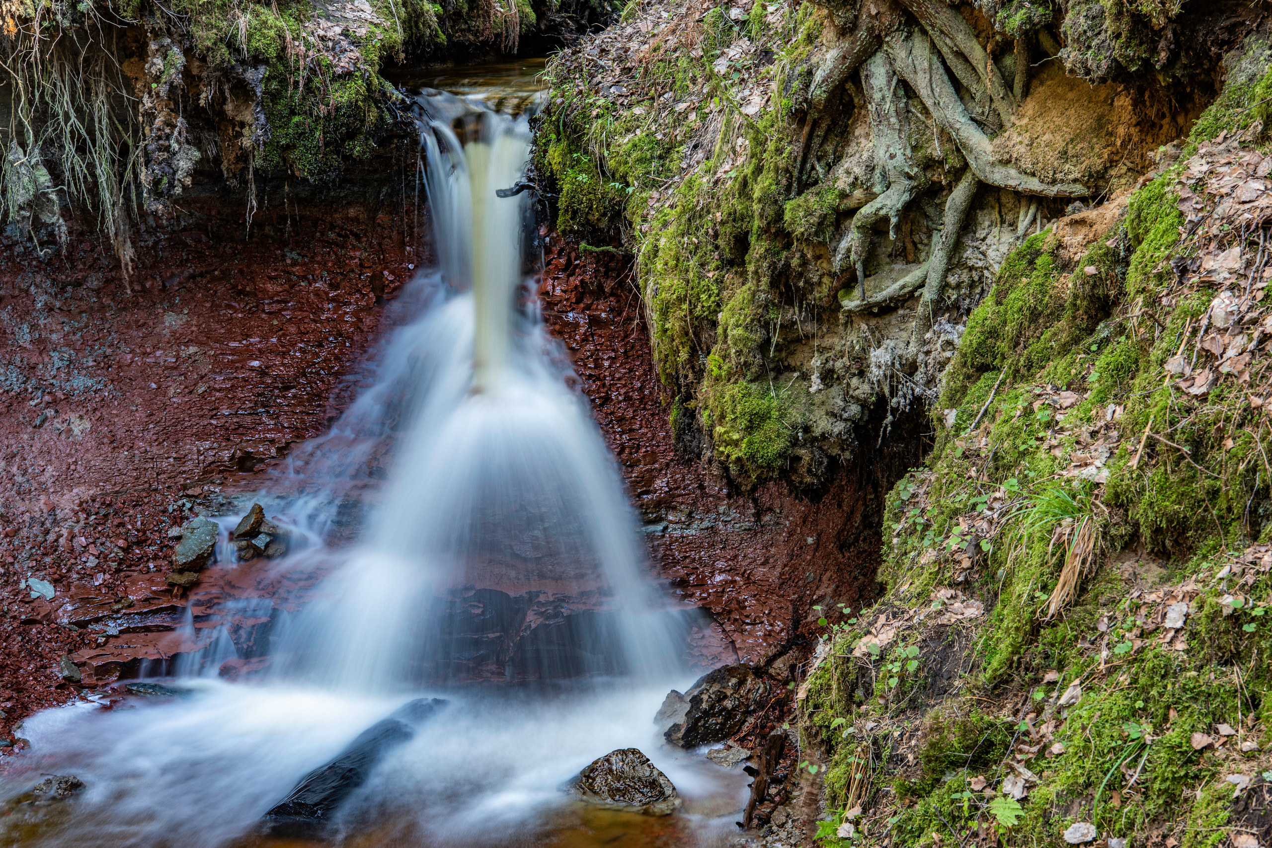 Natural Colour Prints