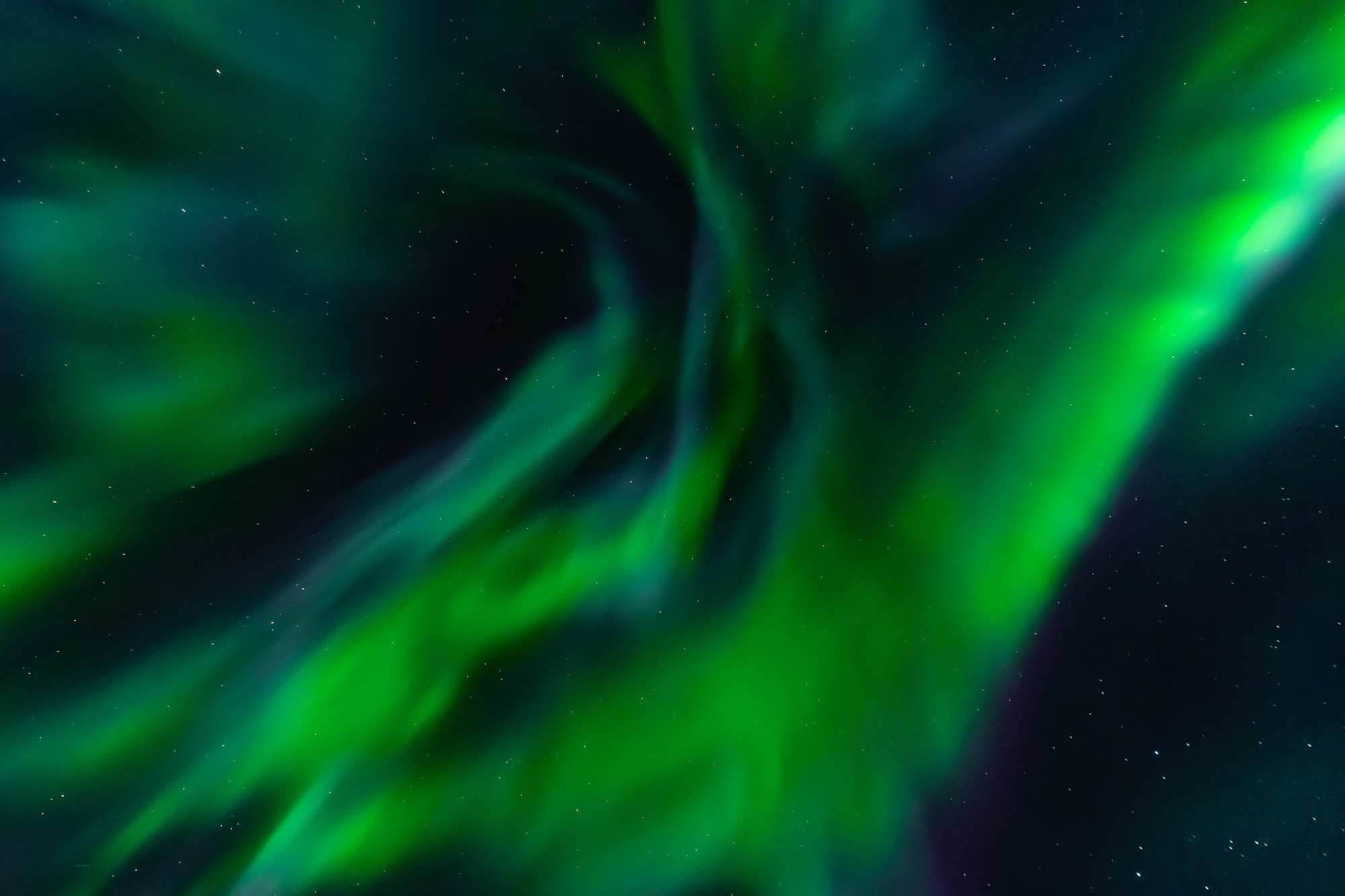 Natural Colour Prints