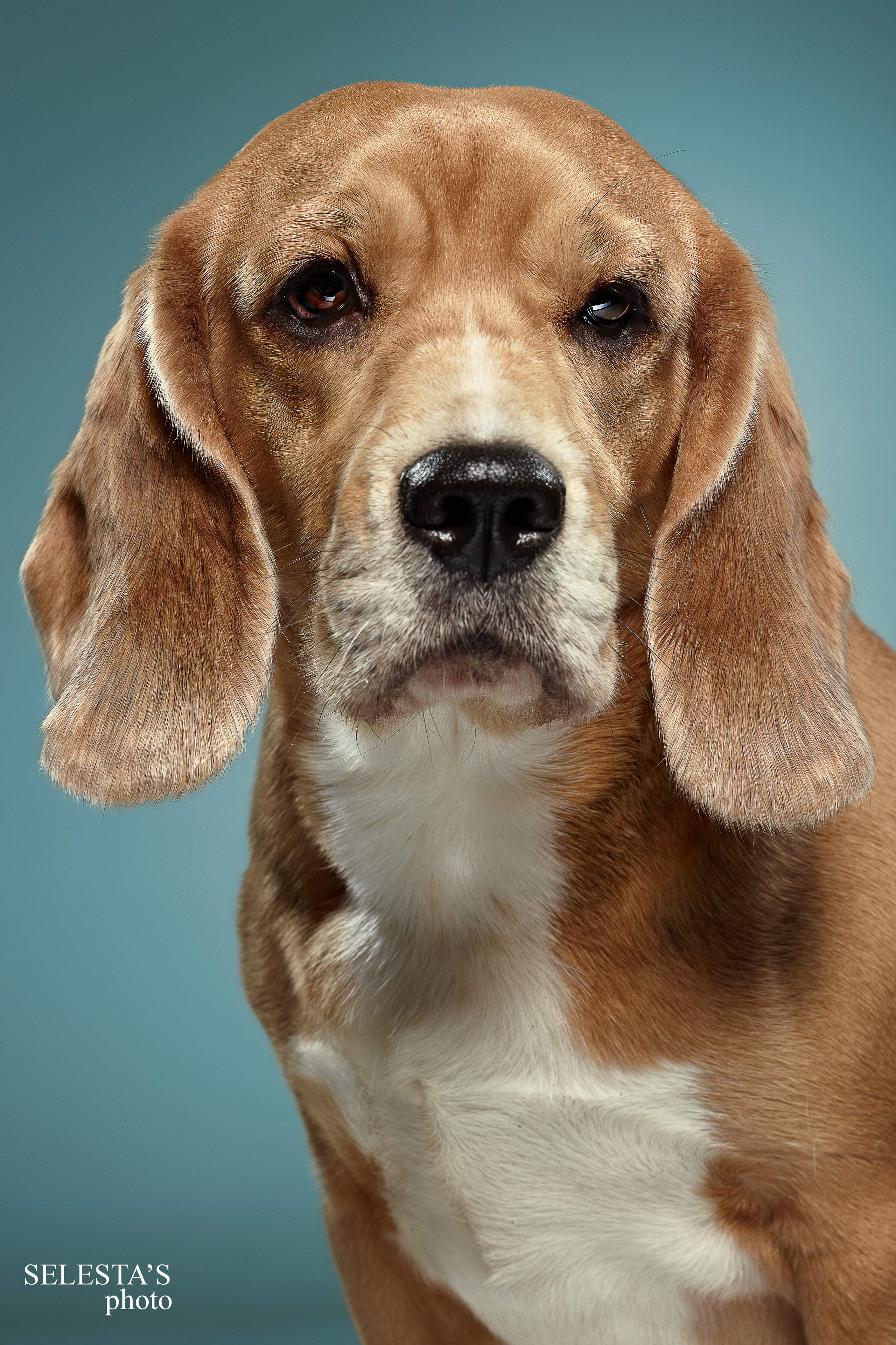 Студиія. Фотограф Катерина Мумжинська