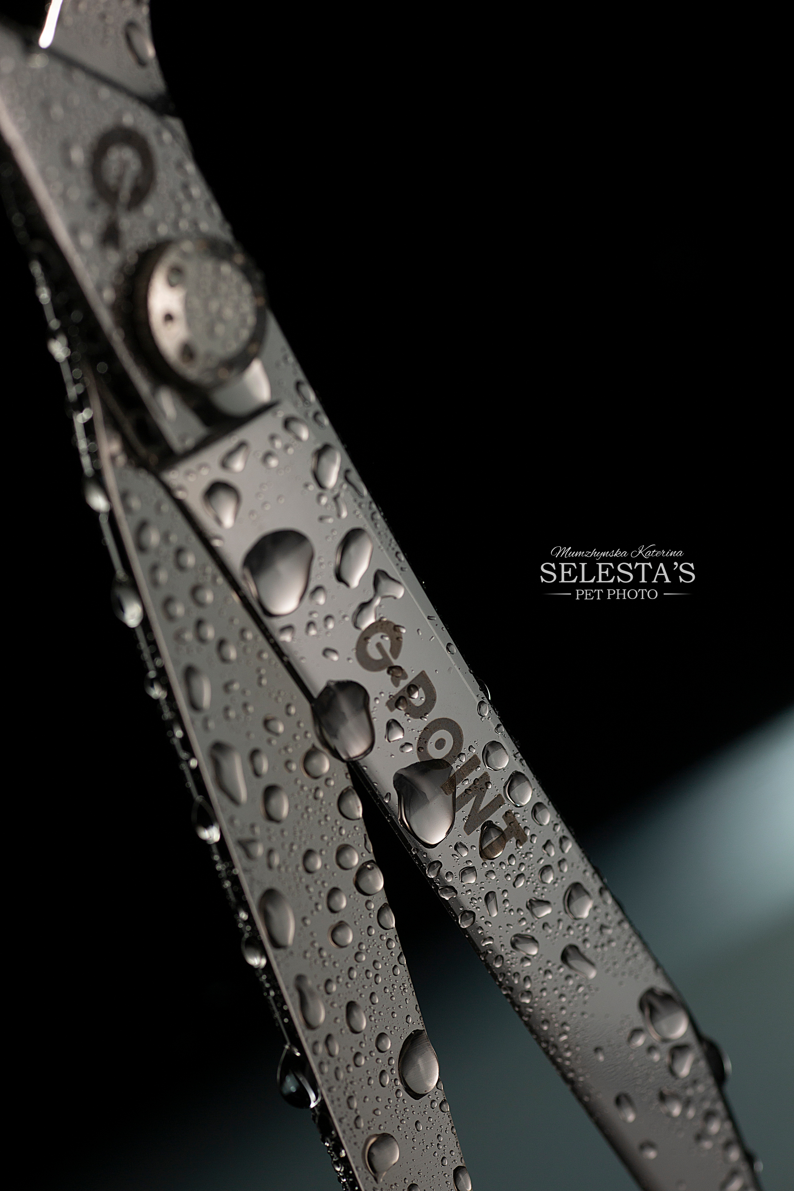 Аdvertising. Pets and people photographer Kateryna Mumzhynska