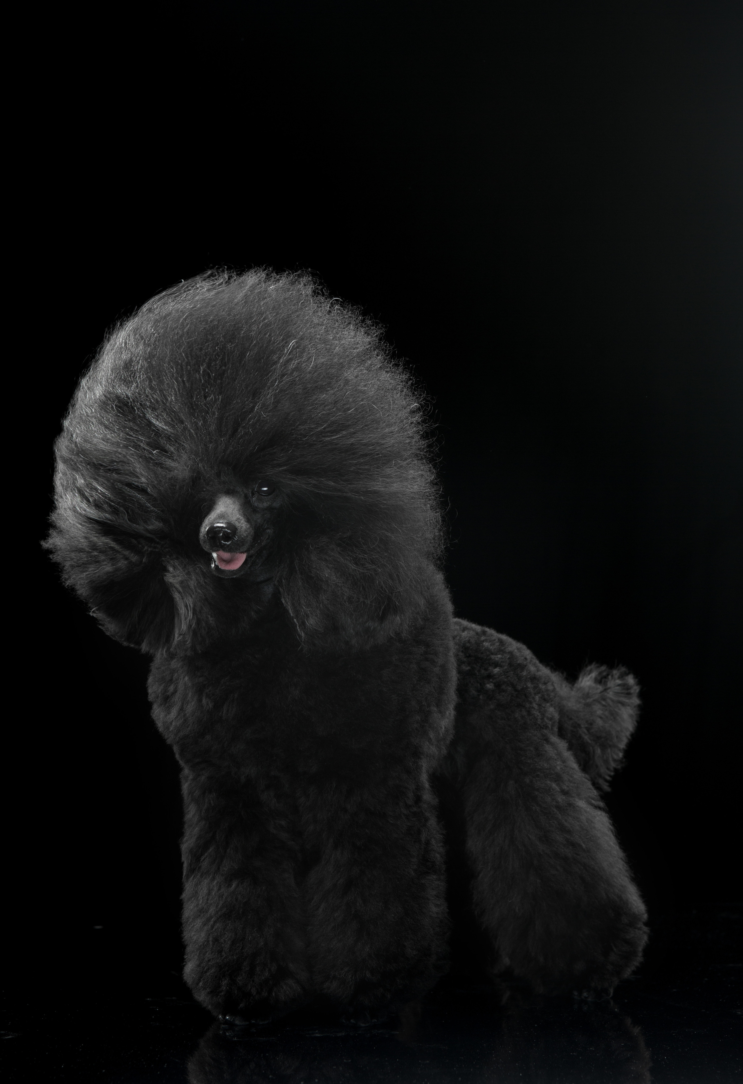 Студиія. Фотограф Катерина Мумжинська