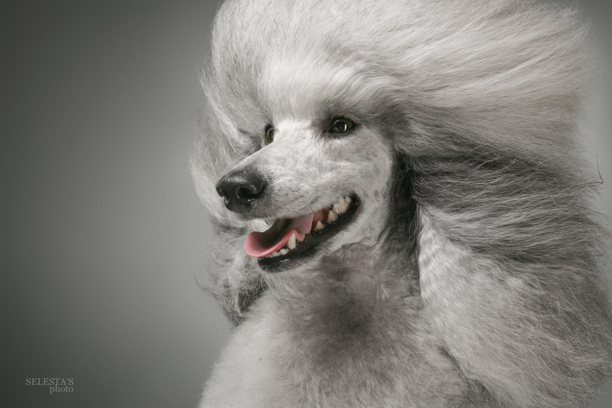 Студиія. Фотограф Катерина Мумжинська