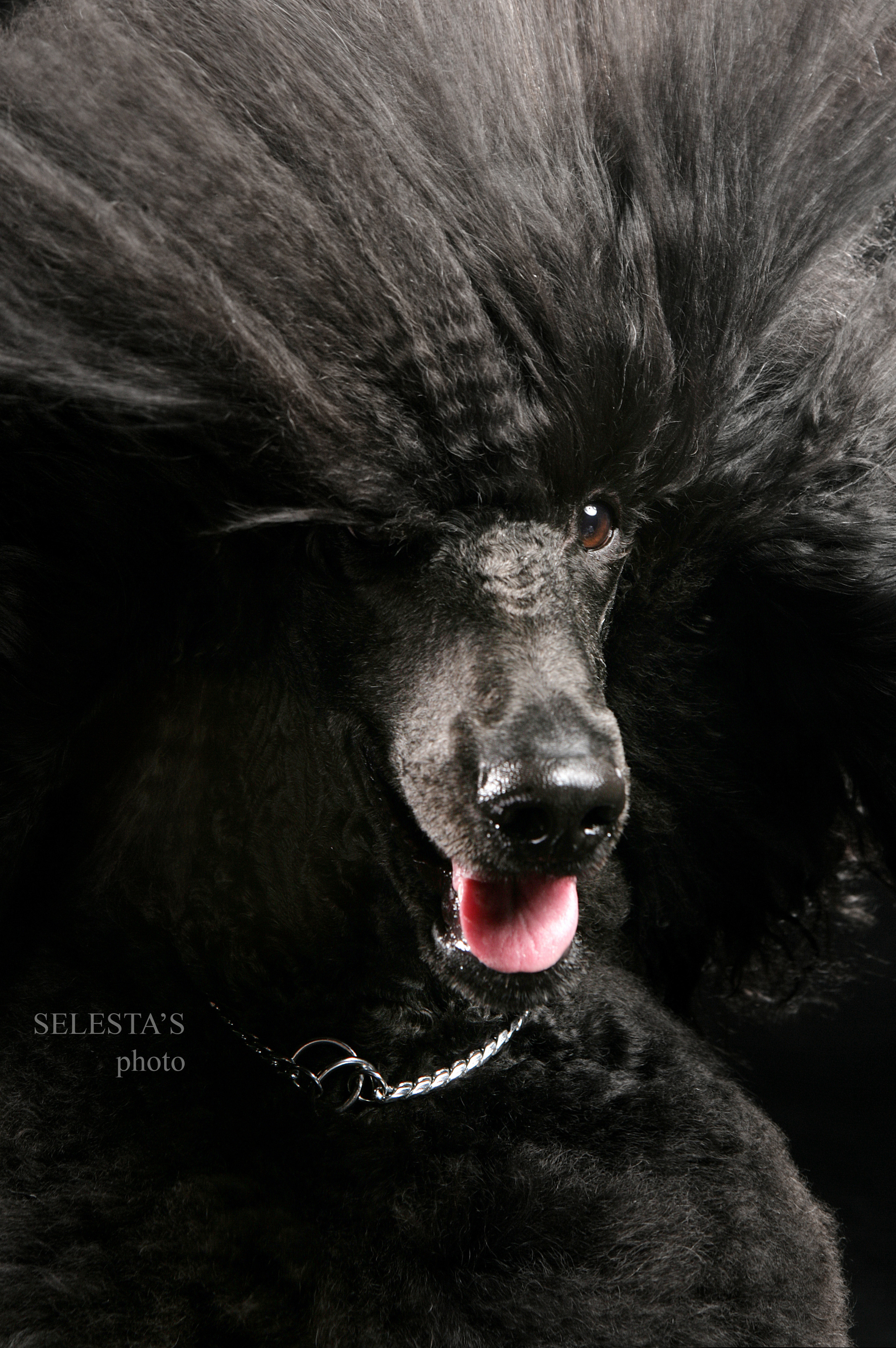 Студиія. Фотограф Катерина Мумжинська