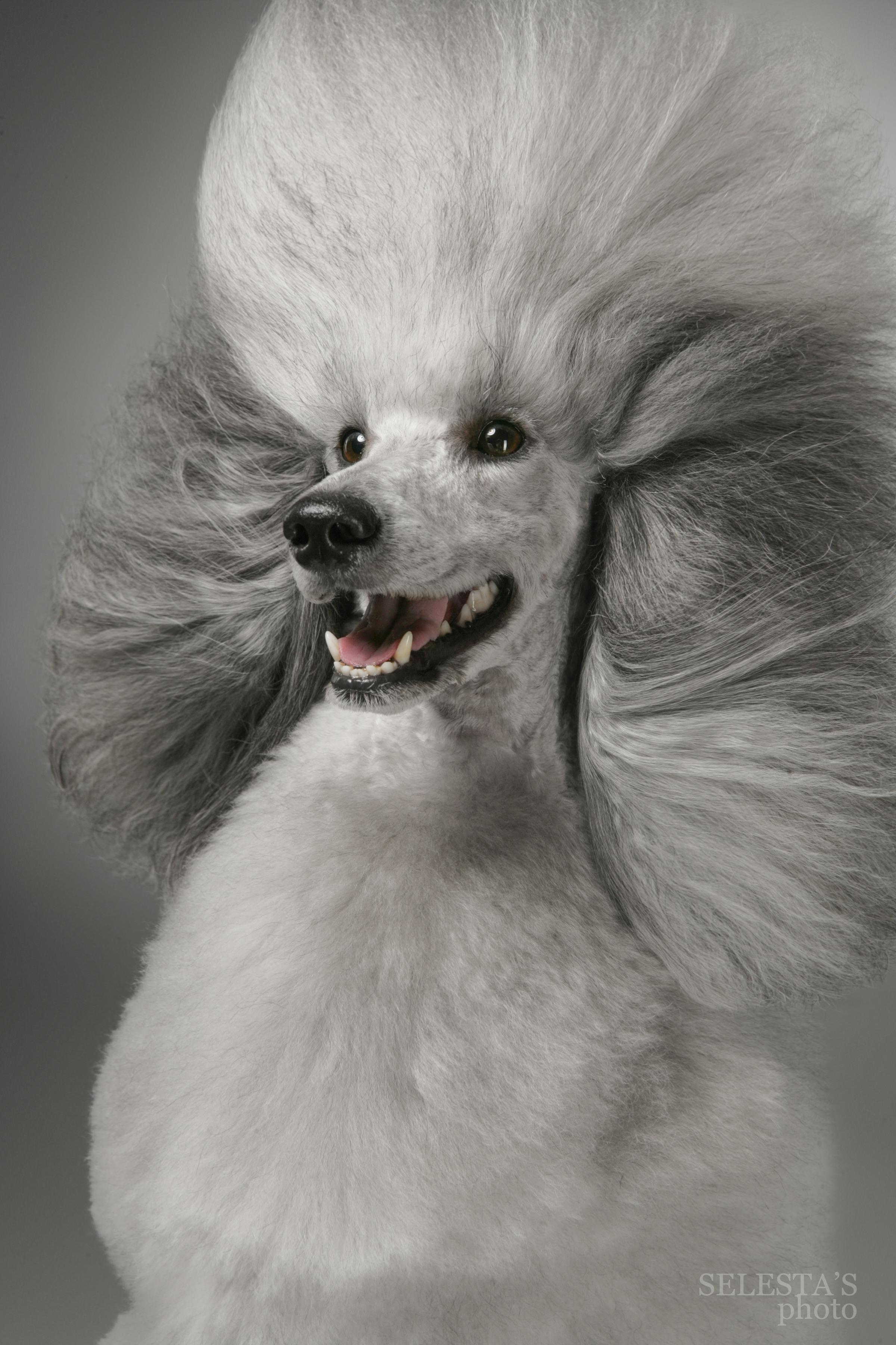 Студиія. Фотограф Катерина Мумжинська