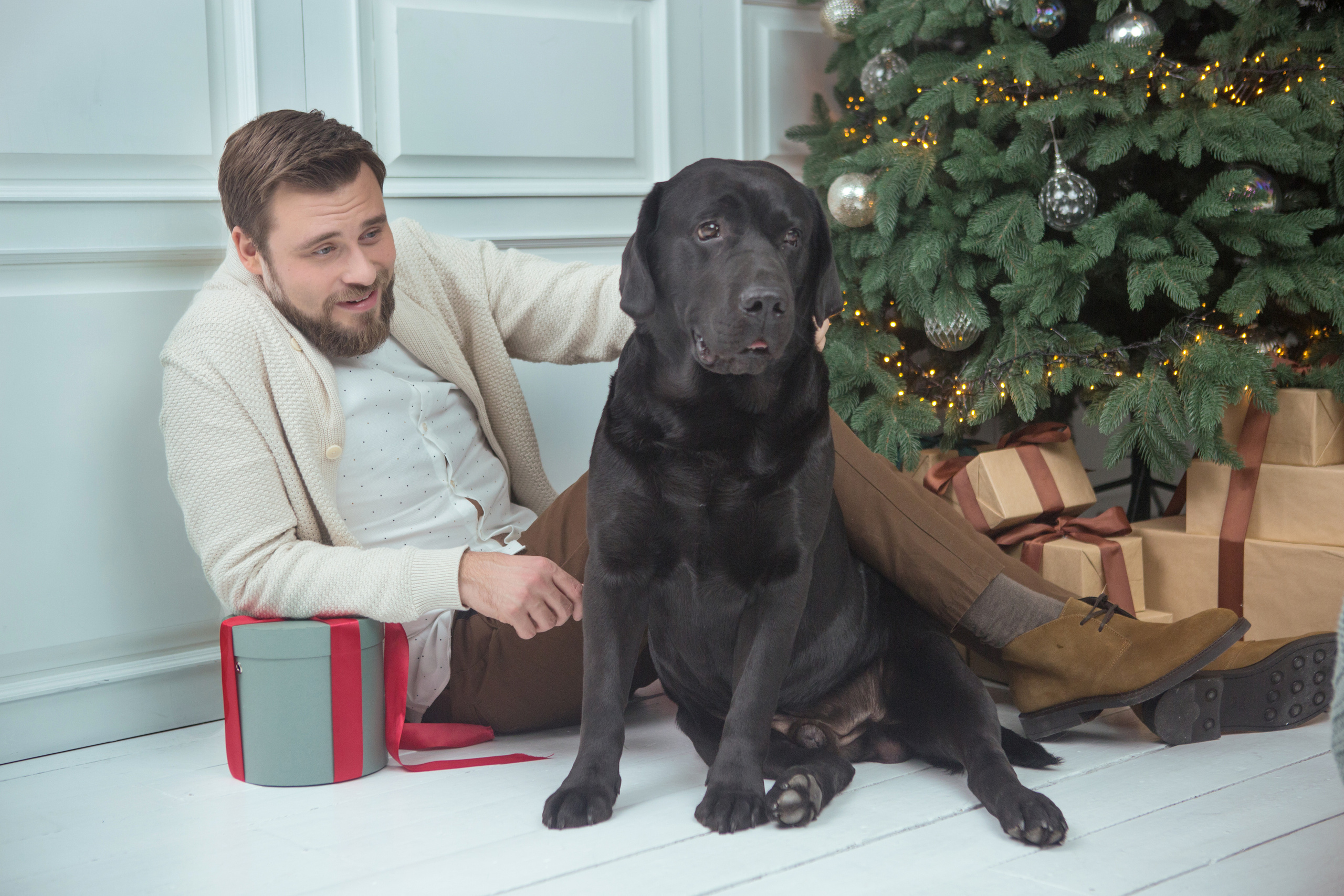 Pets and people. Pets and people photographer Kateryna Mumzhynska