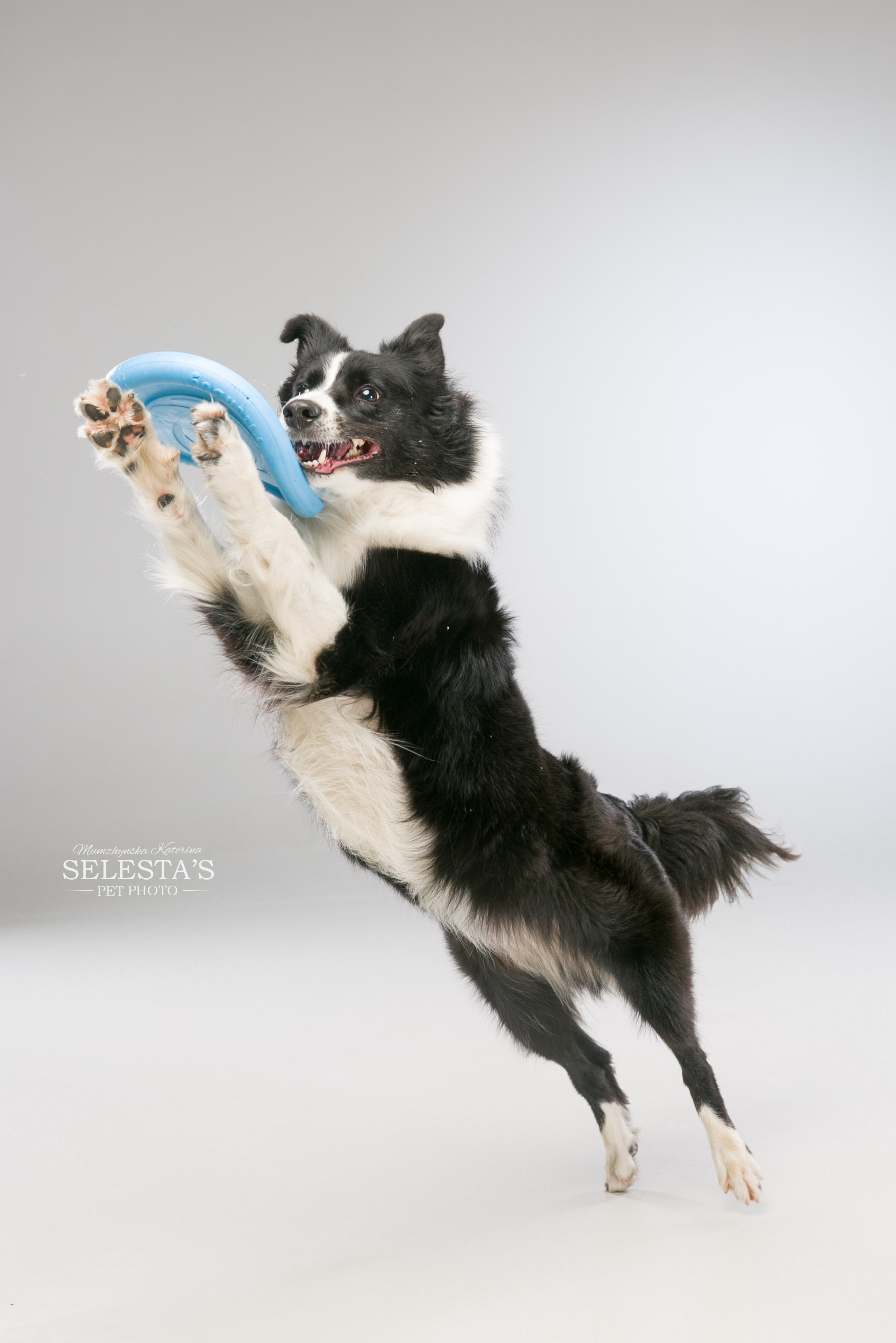 Аdvertising. Pets and people photographer Kateryna Mumzhynska