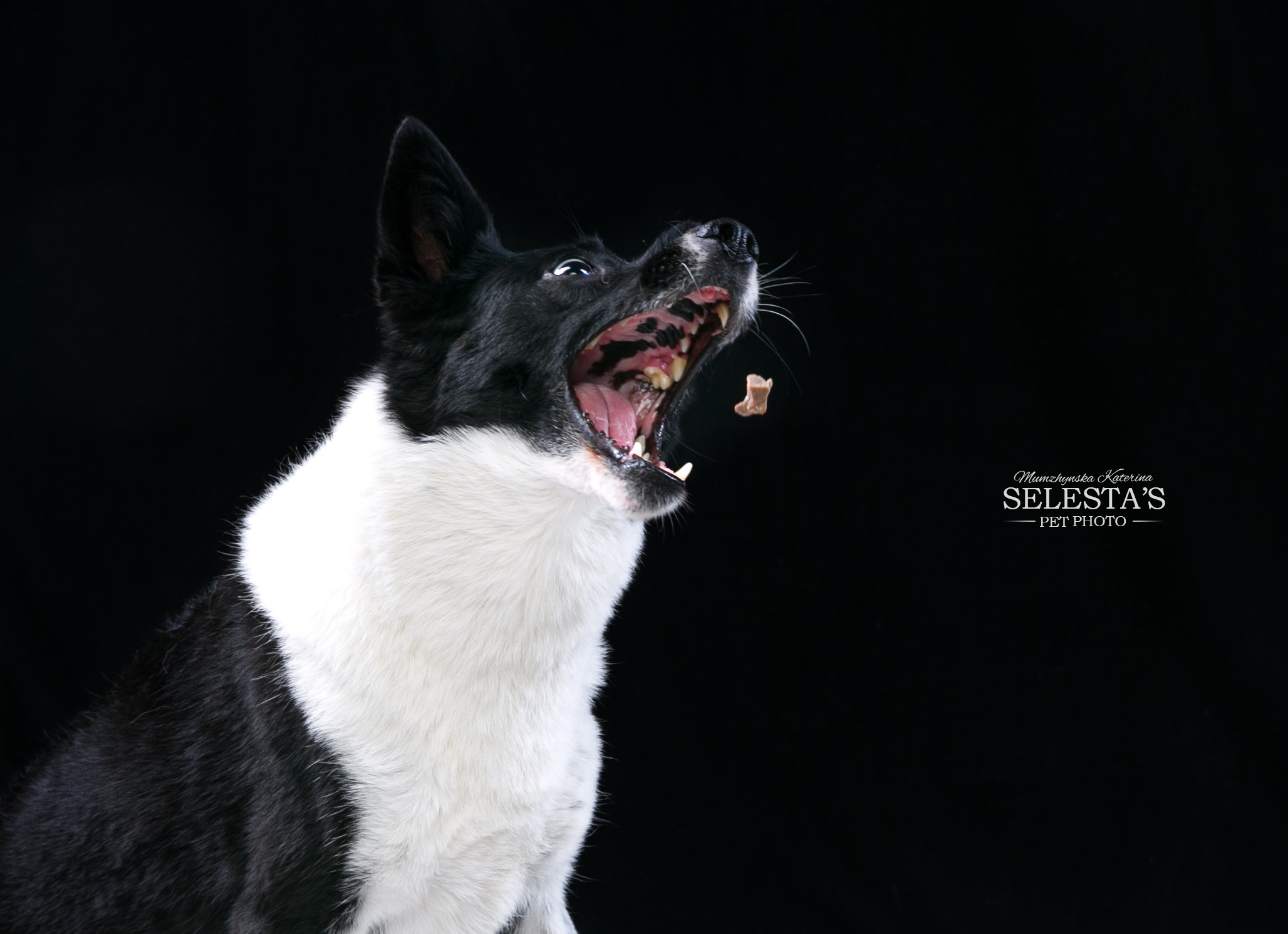 Студиія. Фотограф Катерина Мумжинська