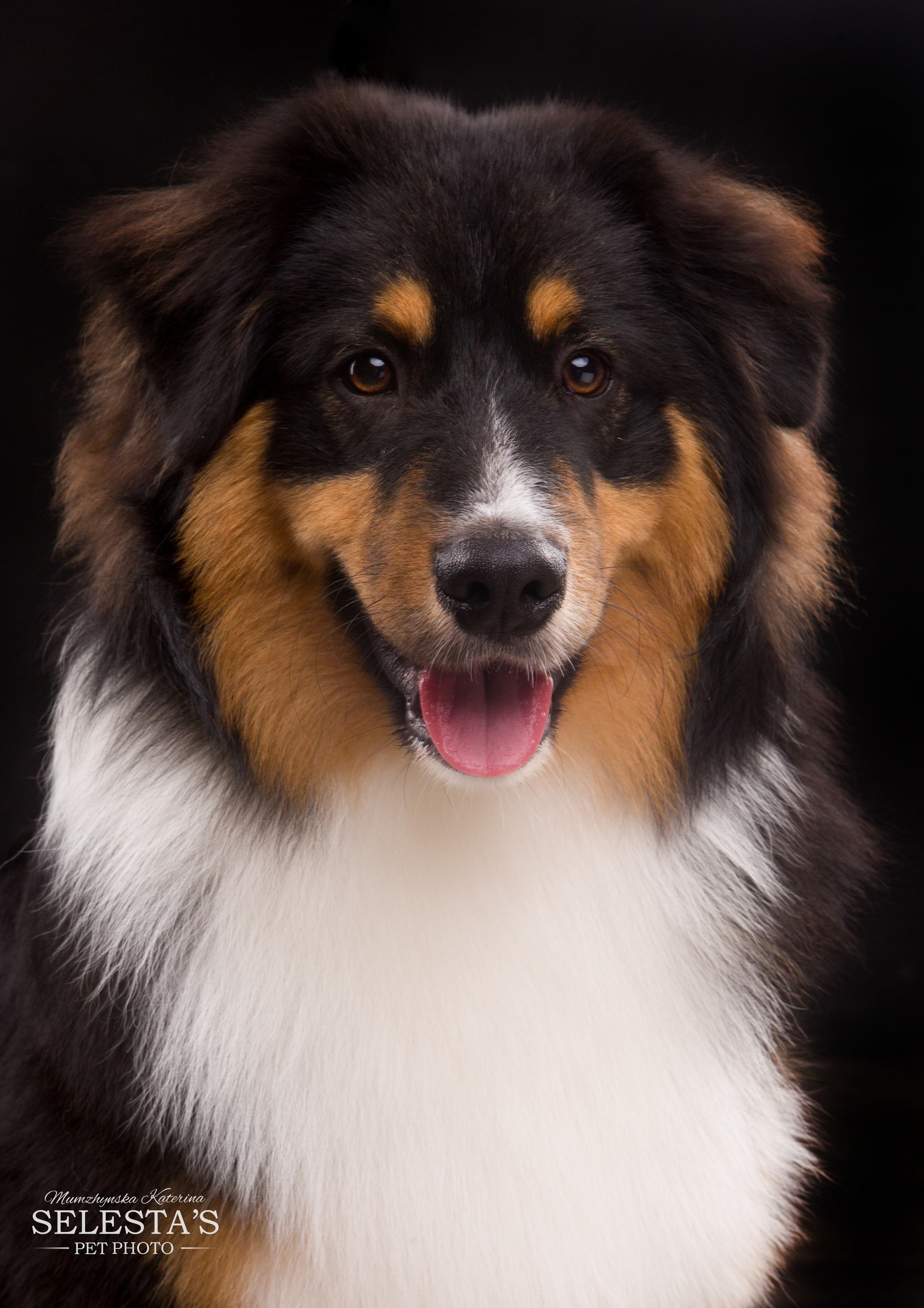 Студиія. Фотограф Катерина Мумжинська