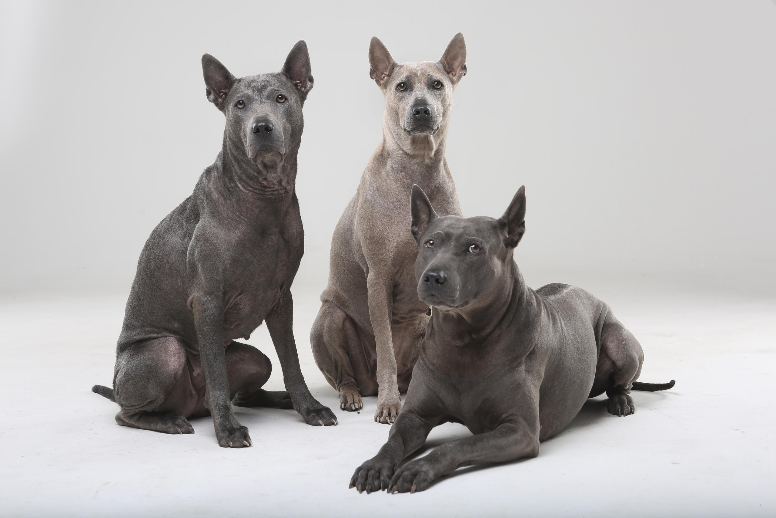 Студиія. Фотограф Катерина Мумжинська