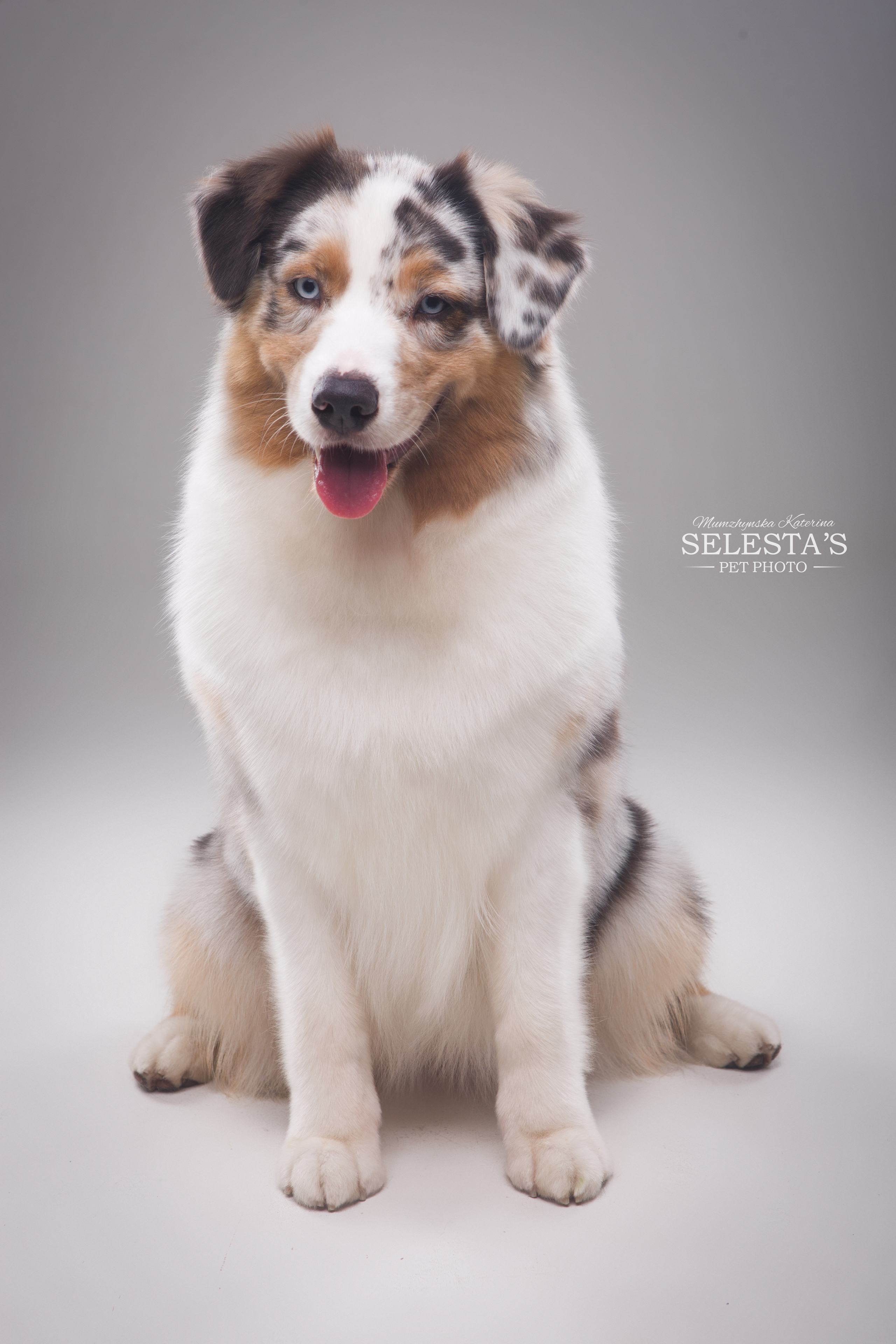 Студиія. Фотограф Катерина Мумжинська