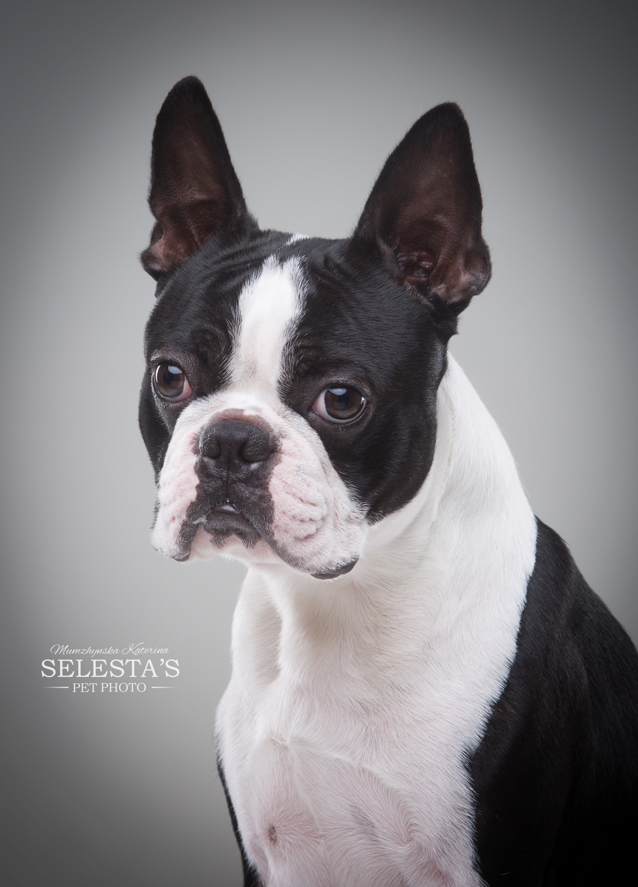 Студиія. Фотограф Катерина Мумжинська