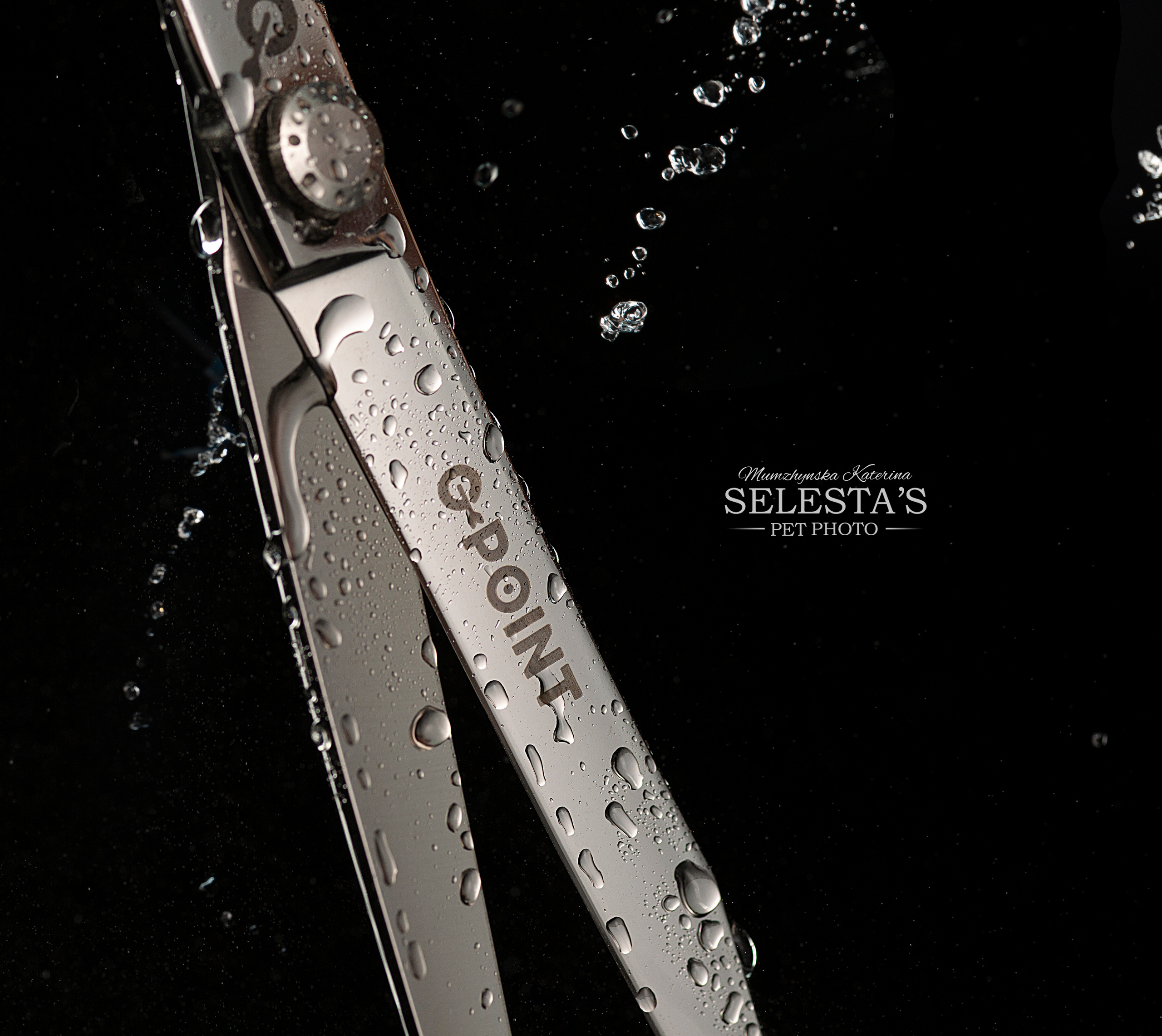 Аdvertising. Pets and people photographer Kateryna Mumzhynska