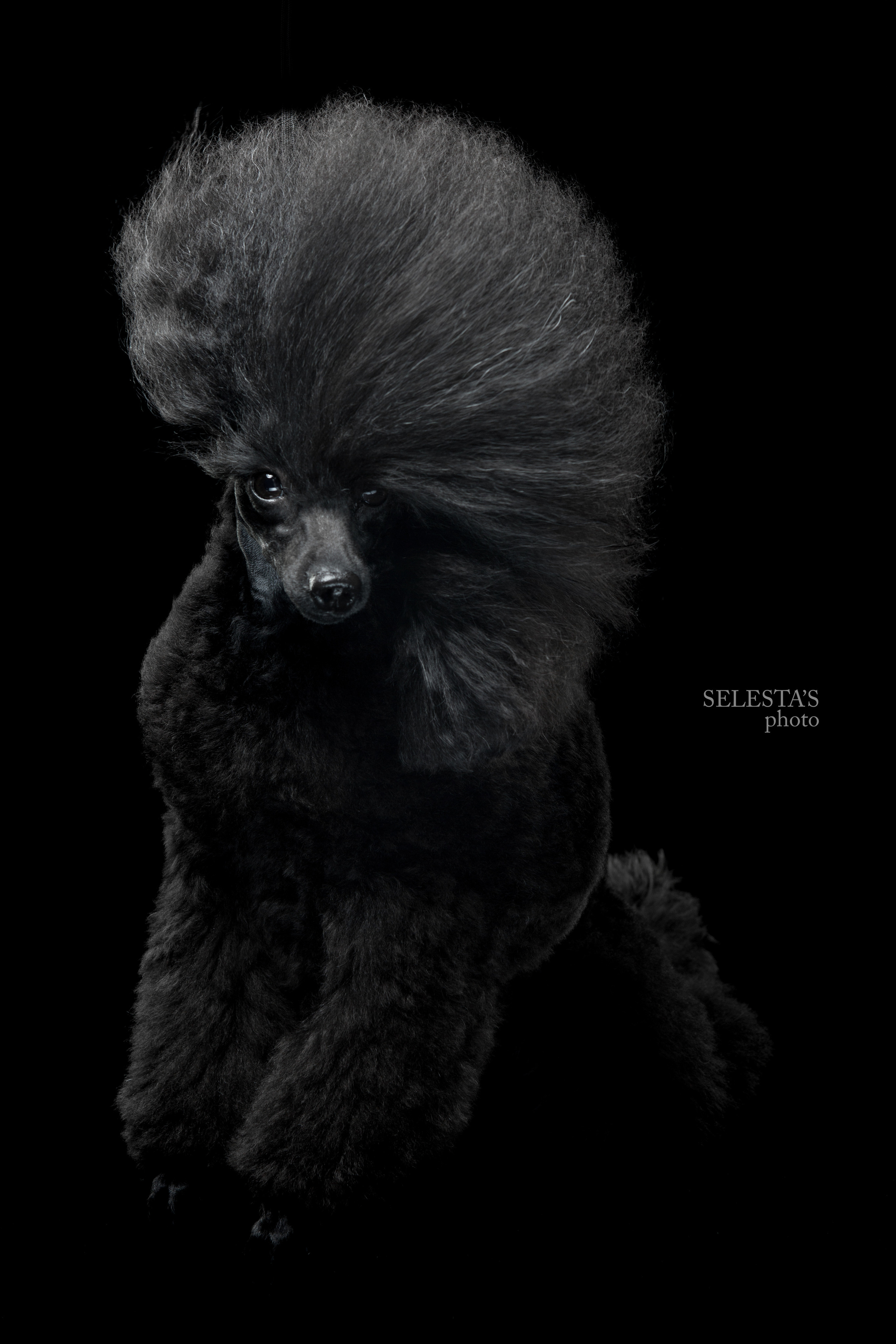 Студиія. Фотограф Катерина Мумжинська