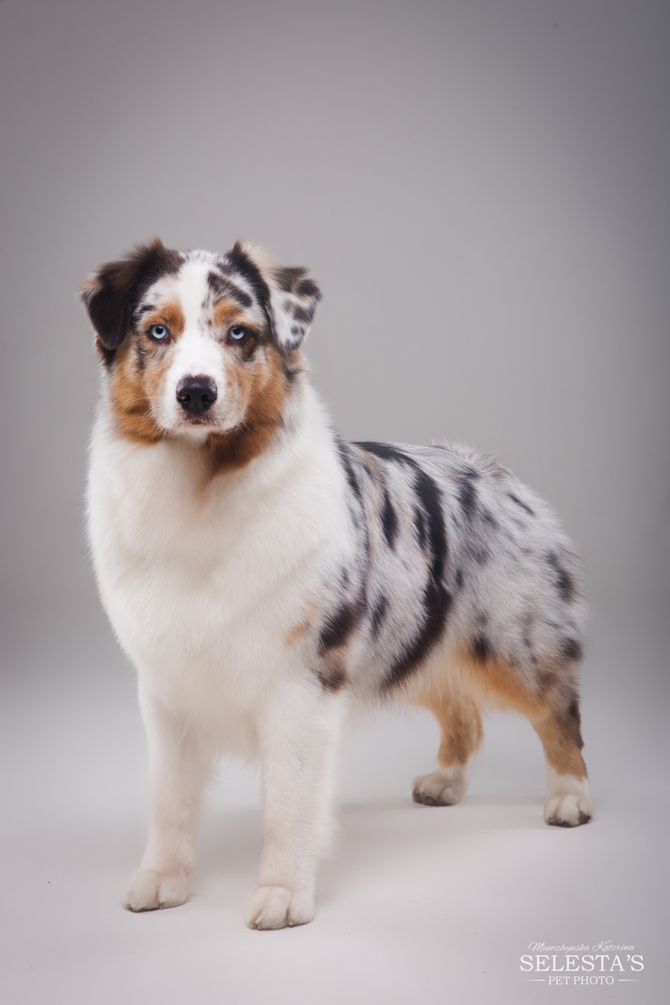 Студиія. Фотограф Катерина Мумжинська