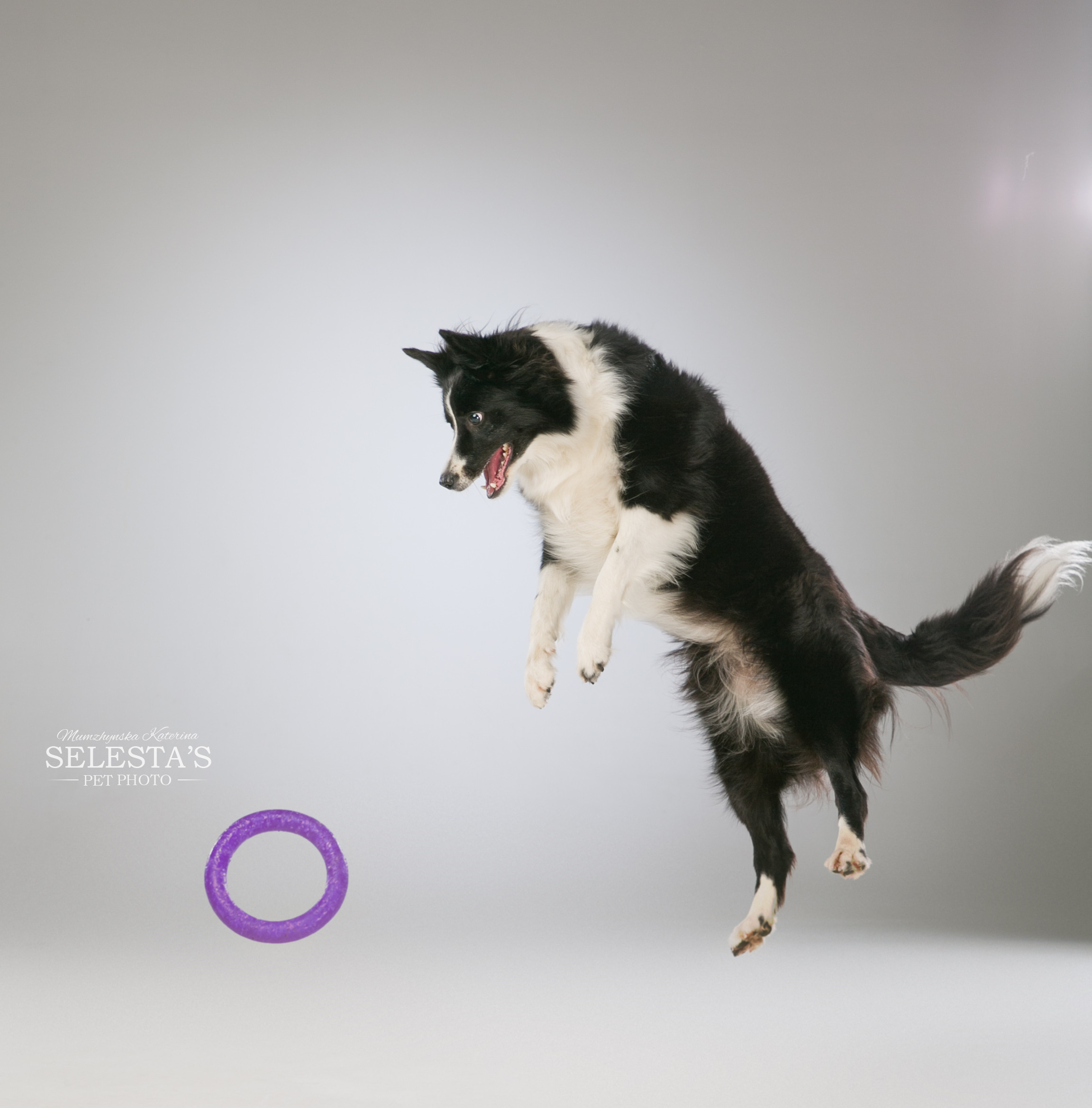 Аdvertising. Pets and people photographer Kateryna Mumzhynska