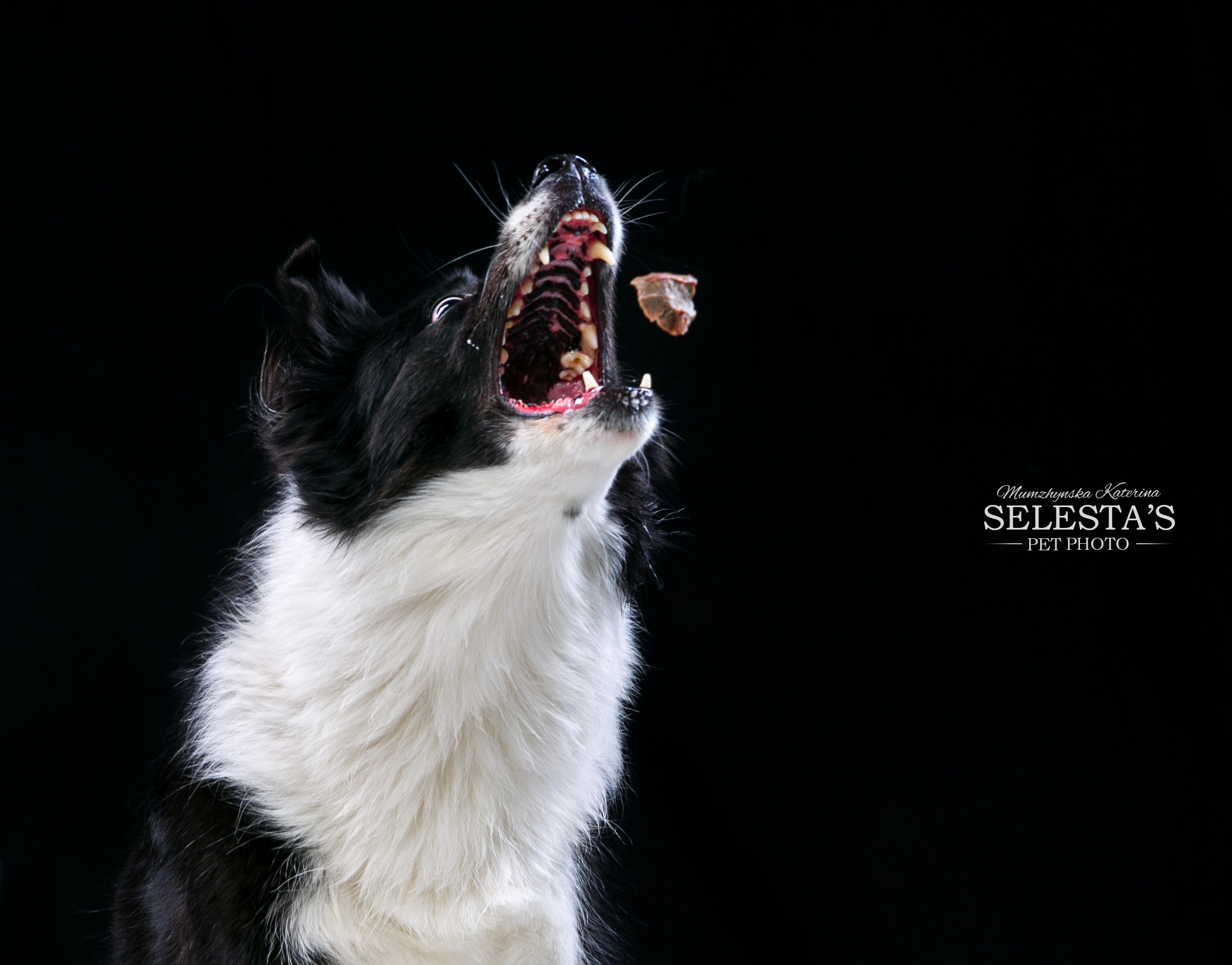 Студиія. Фотограф Катерина Мумжинська