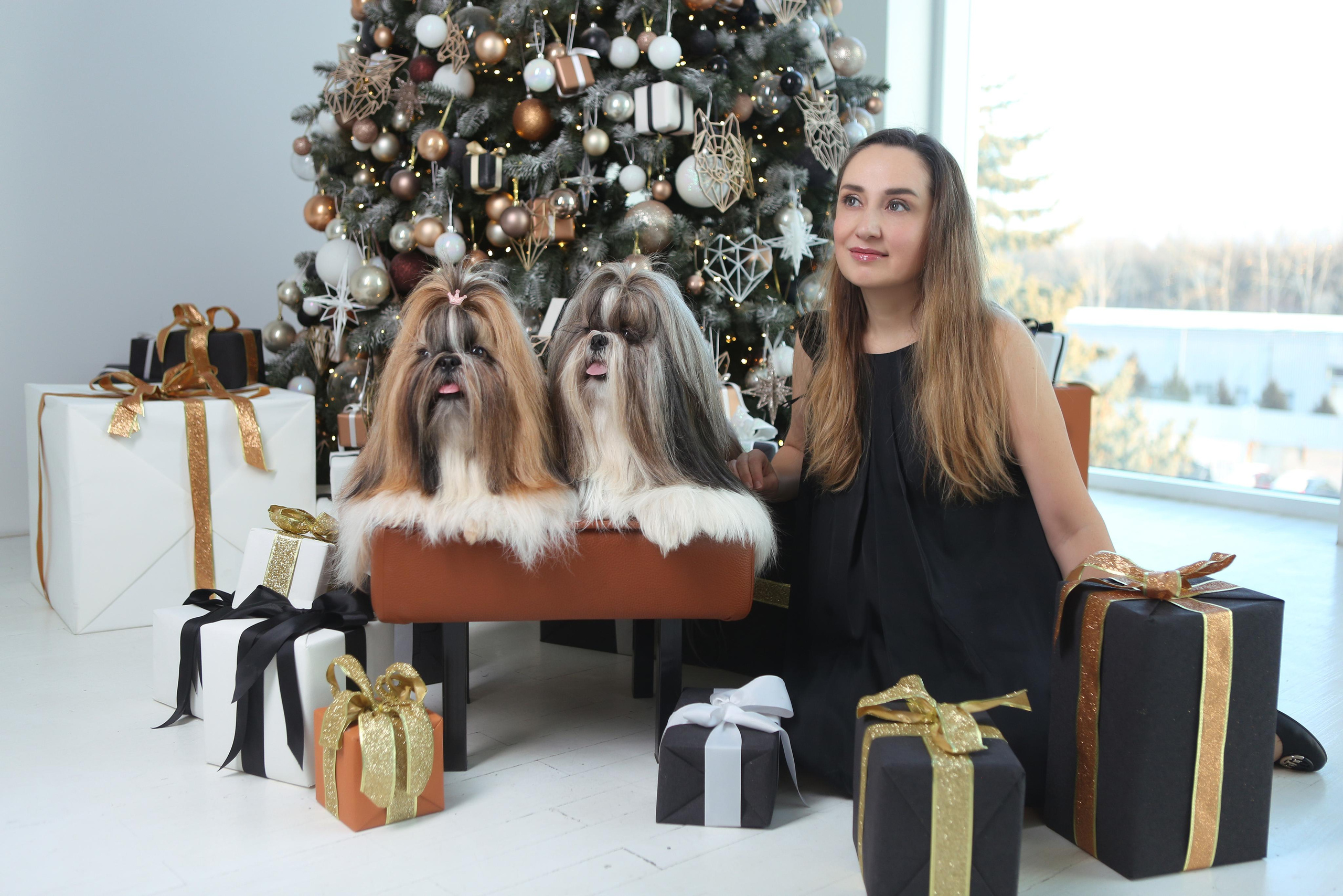 Pets and people. Pets and people photographer Kateryna Mumzhynska