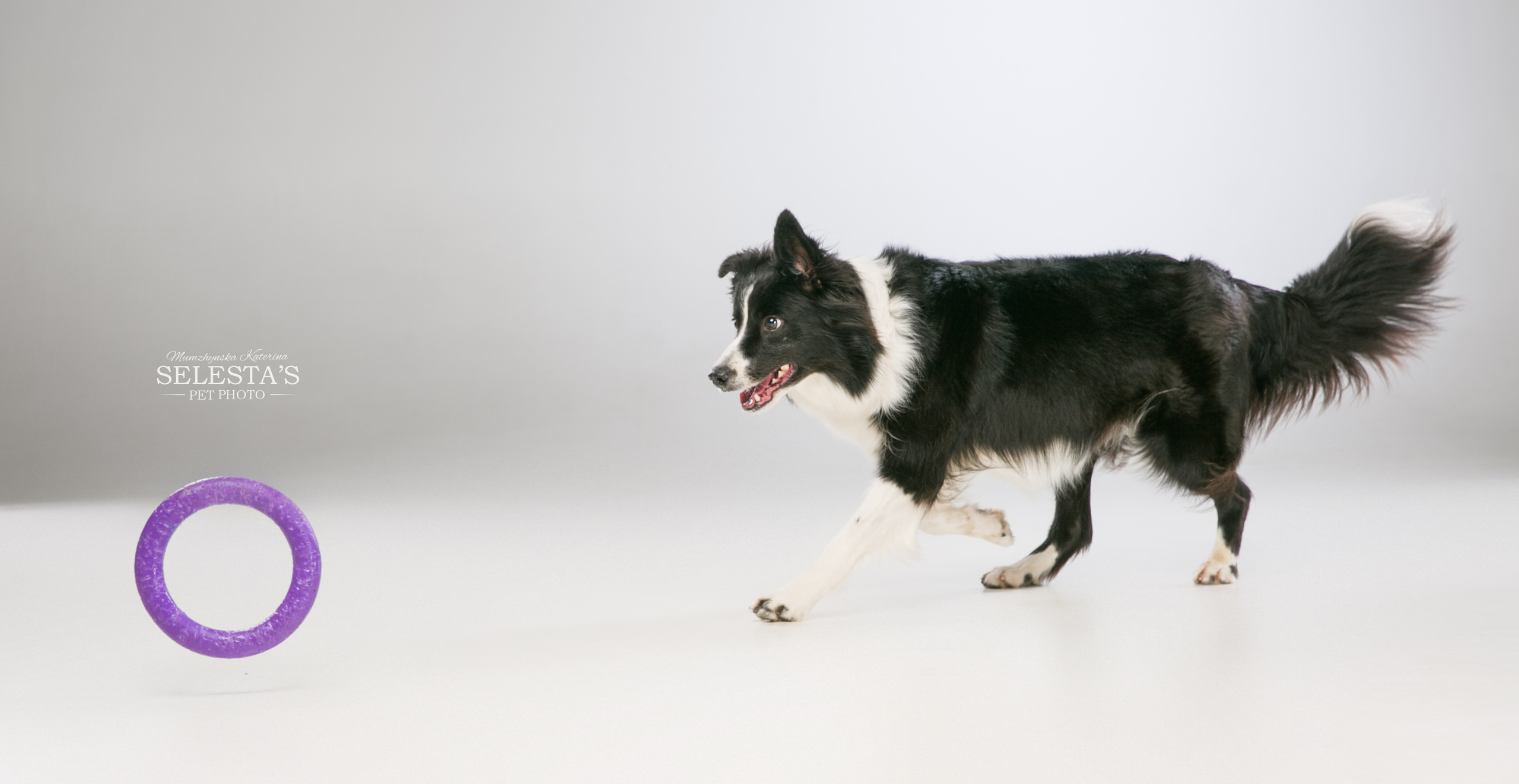 Аdvertising. Pets and people photographer Kateryna Mumzhynska