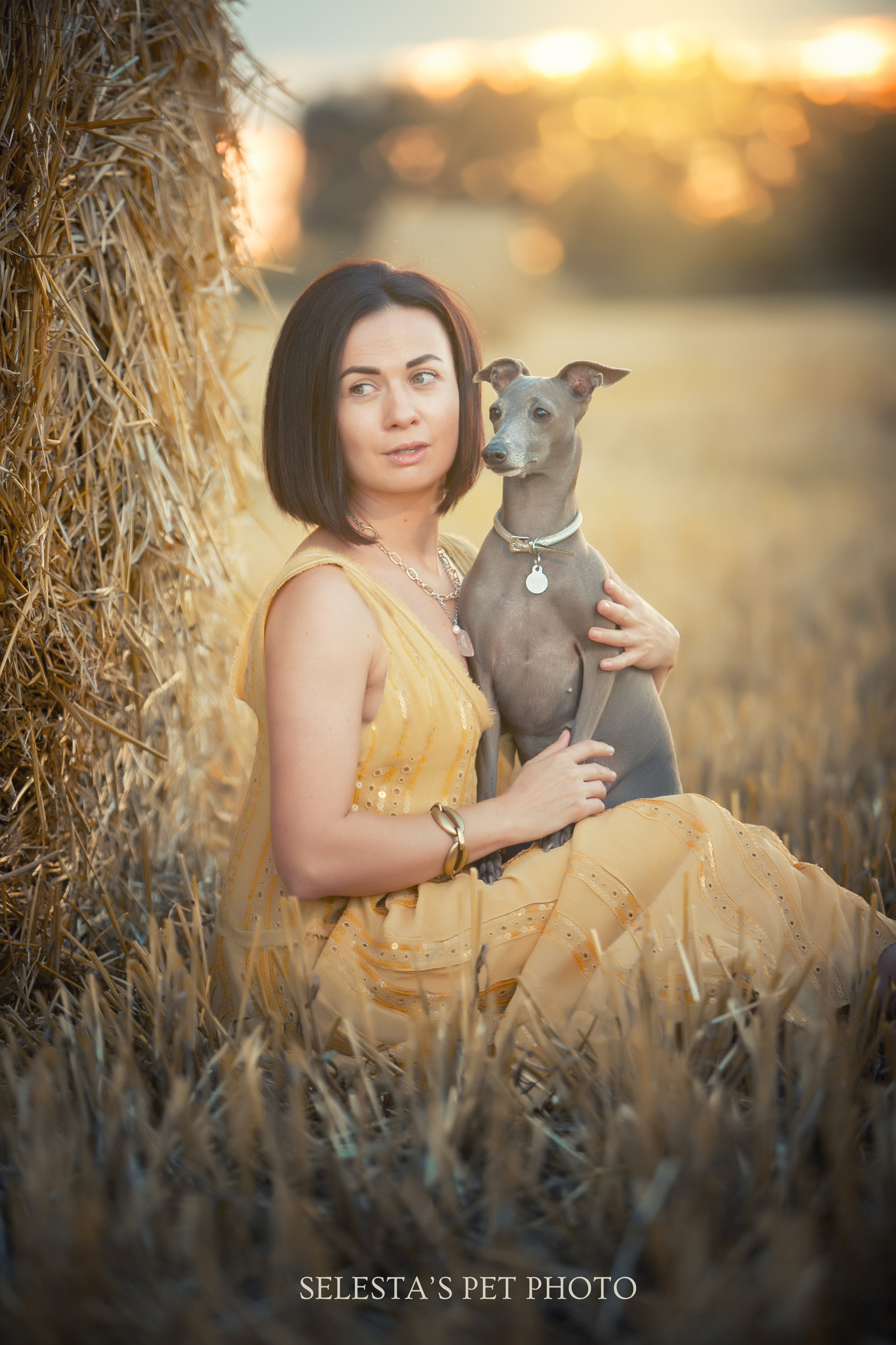 Pets and people. Pets and people photographer Kateryna Mumzhynska