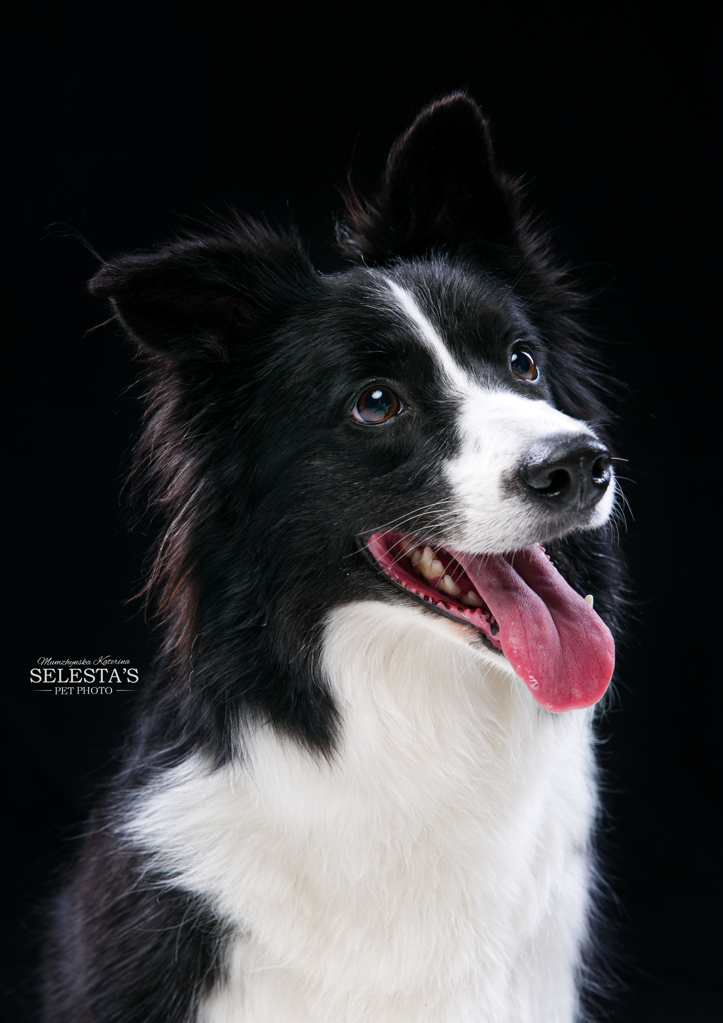 Студиія. Фотограф Катерина Мумжинська