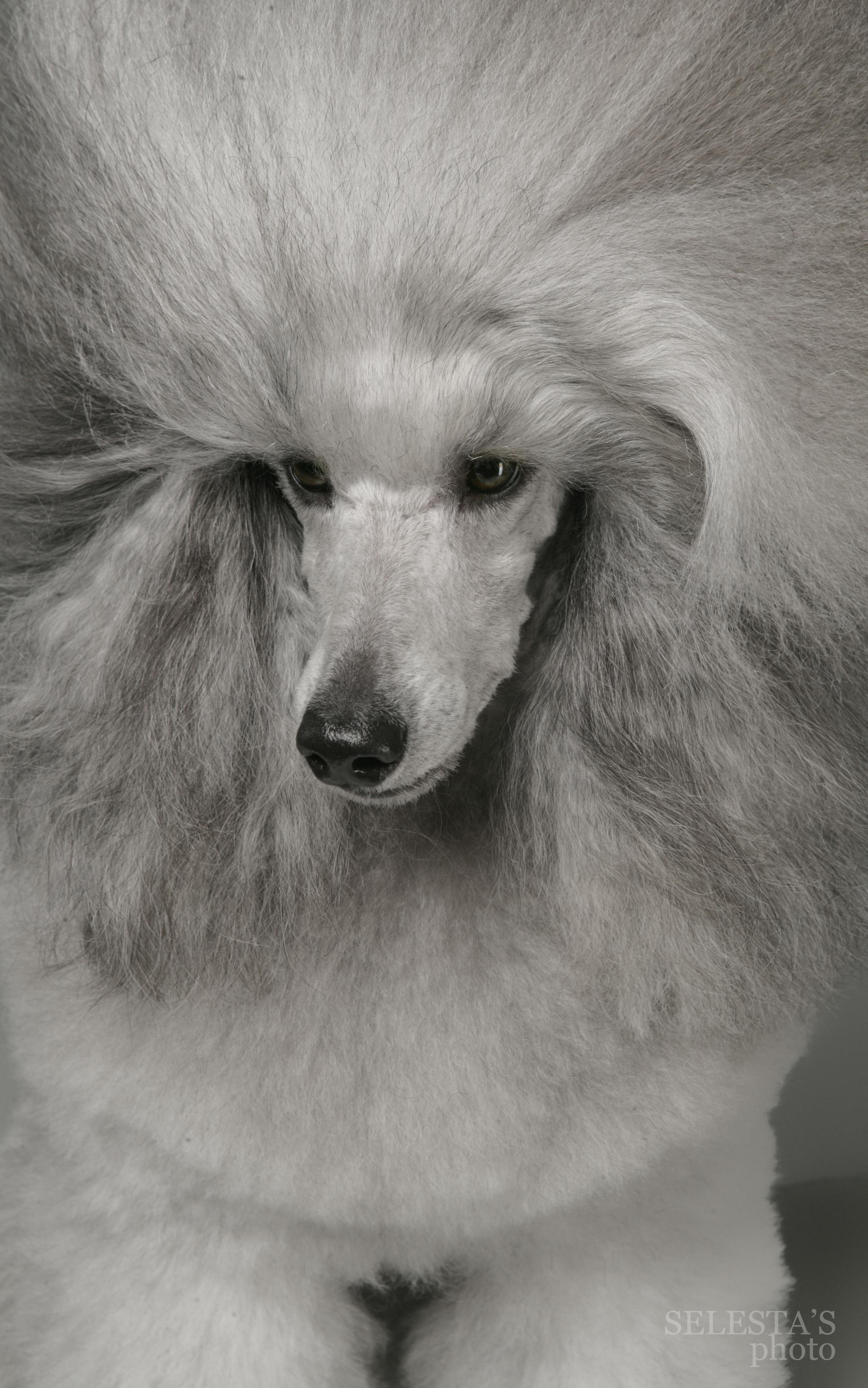 Студиія. Фотограф Катерина Мумжинська